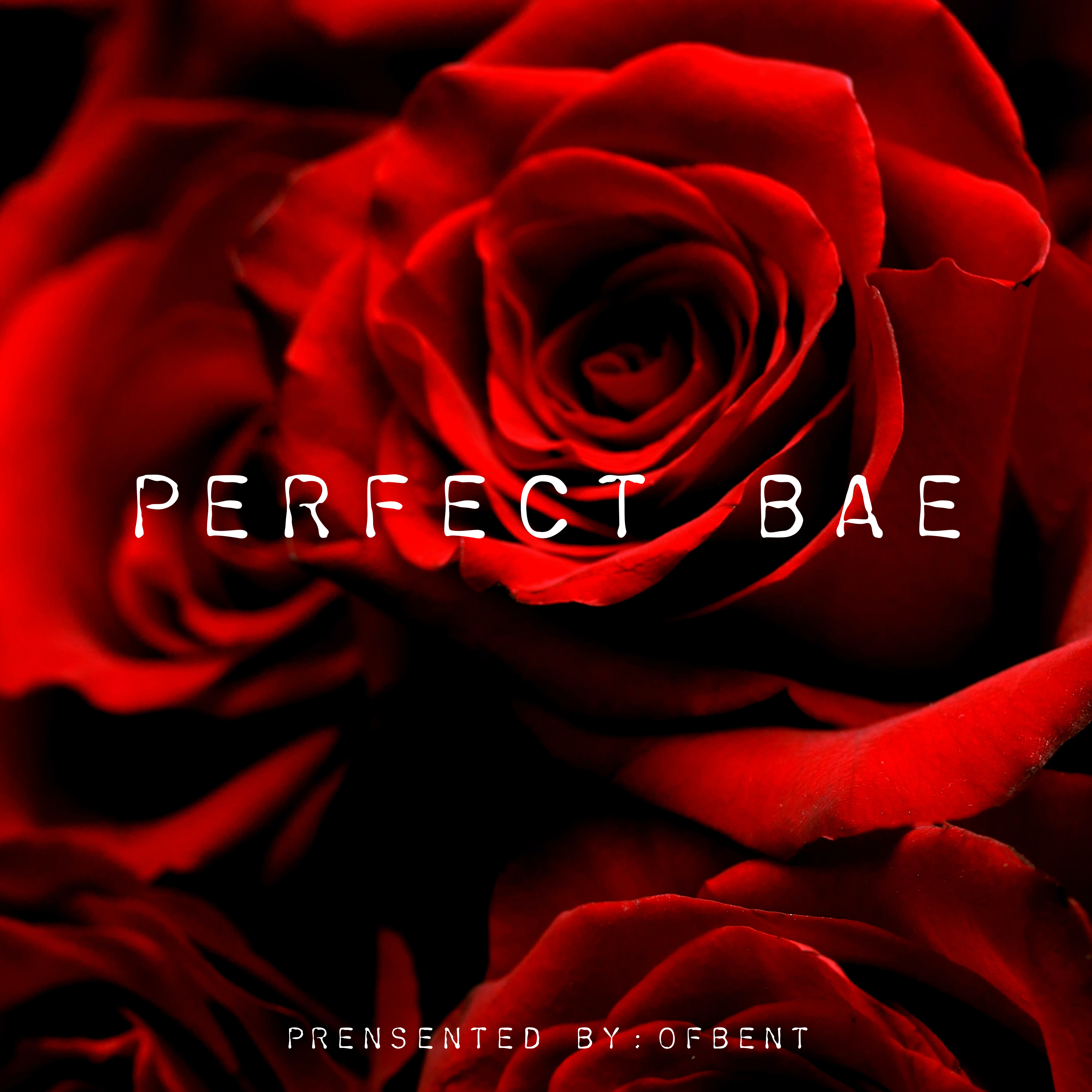 Perfect Bae artwork