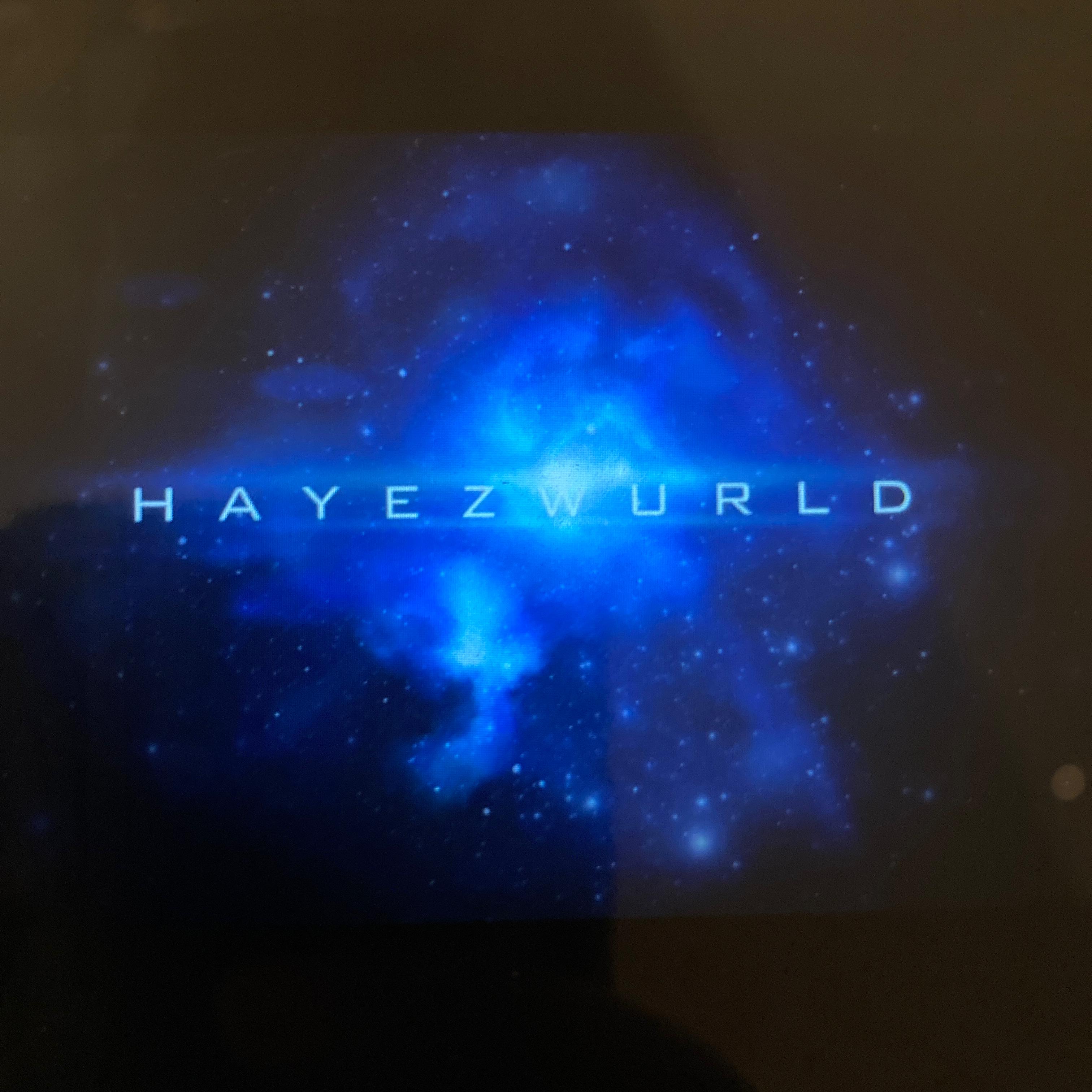 Hayezwurld artwork