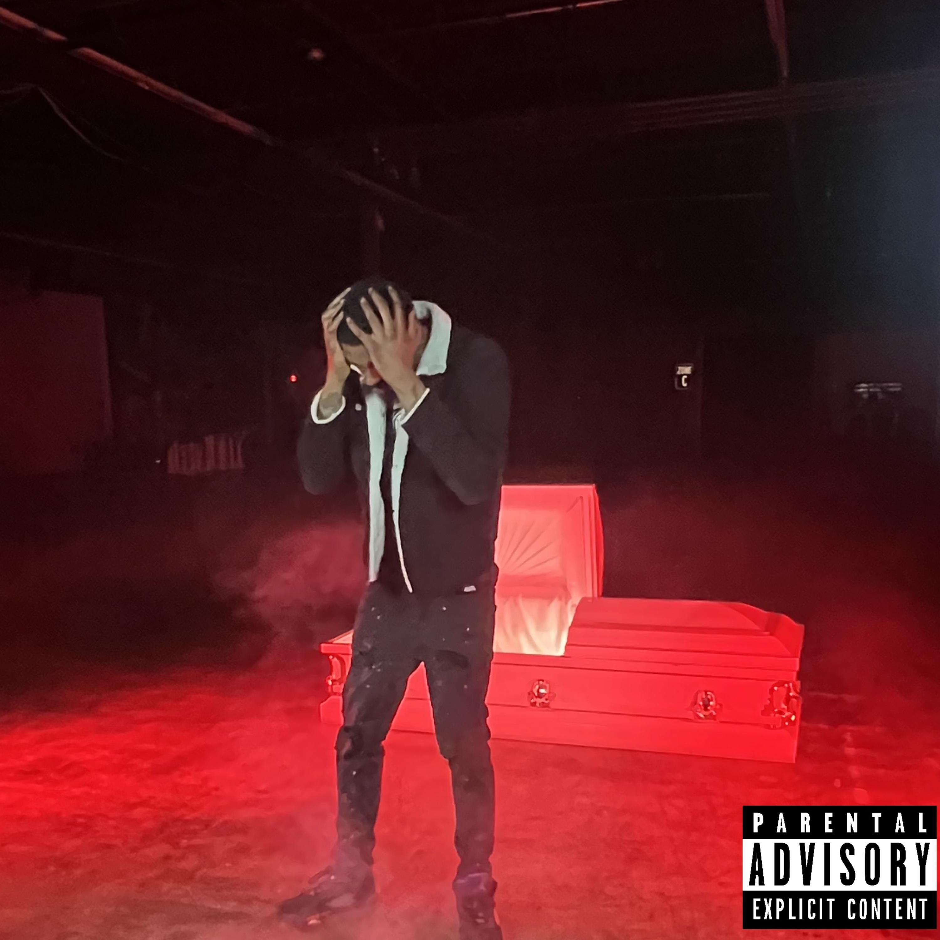 BIG MIKE FLOW artwork