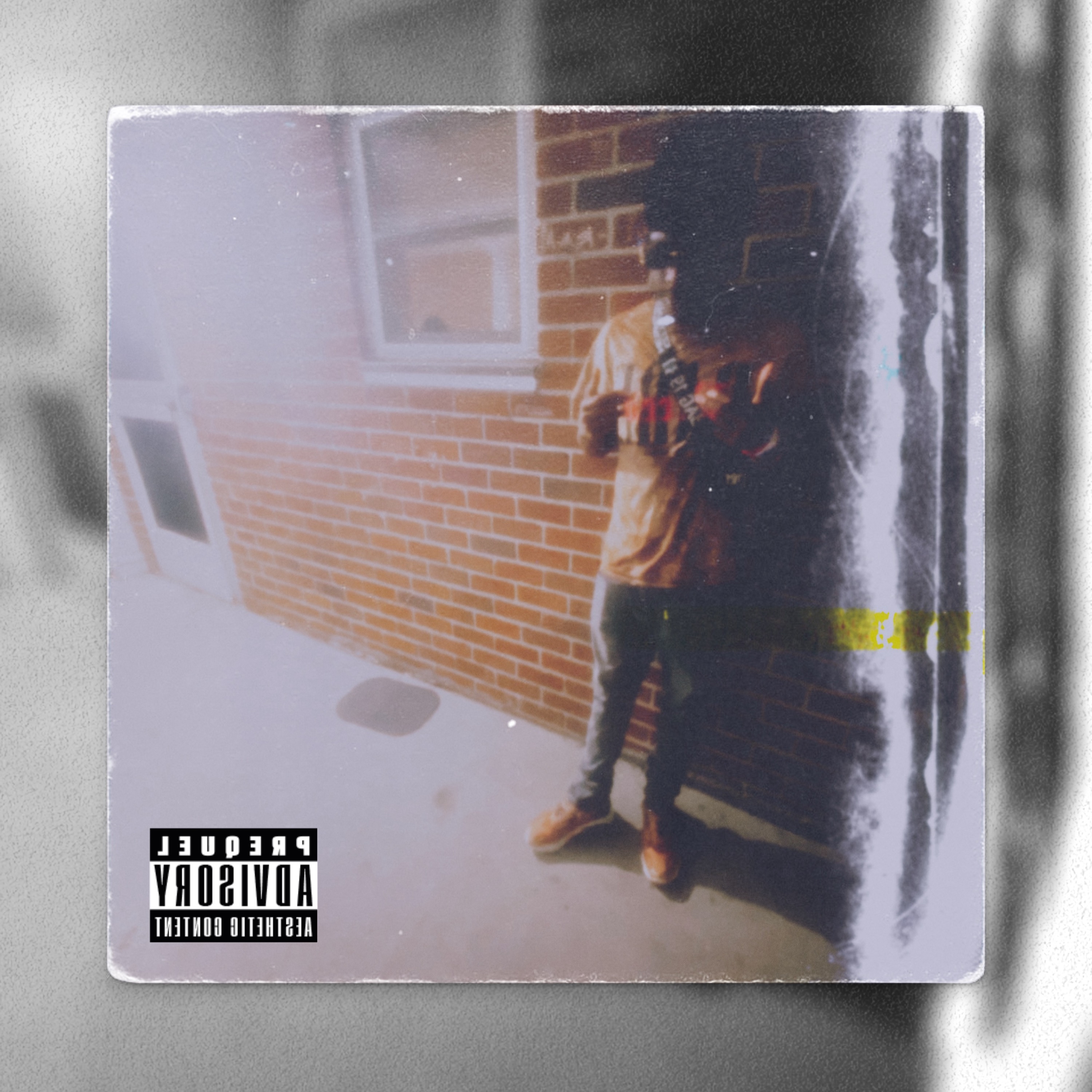 The Struggle artwork