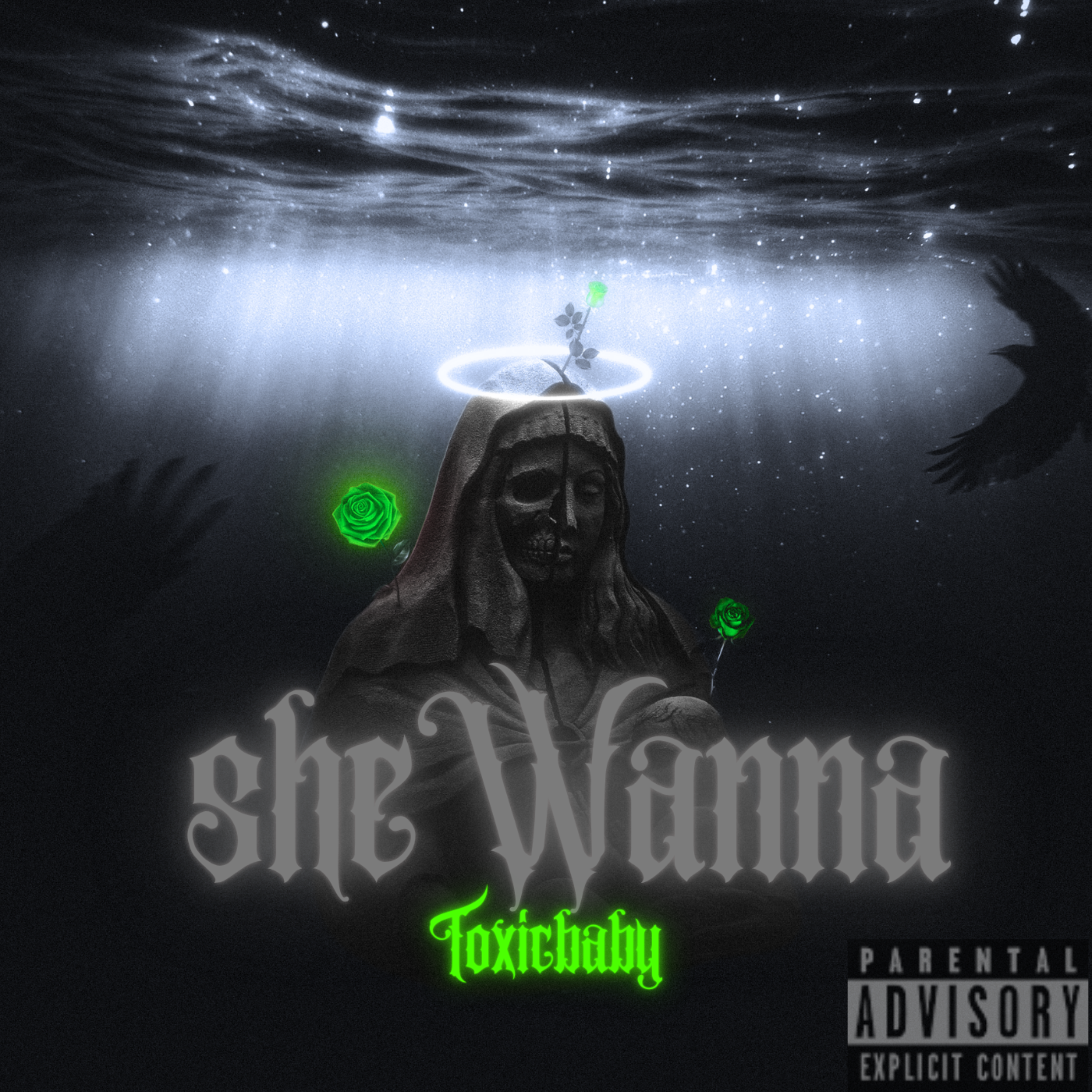 She Wanna by TToxicbabyyx cover art