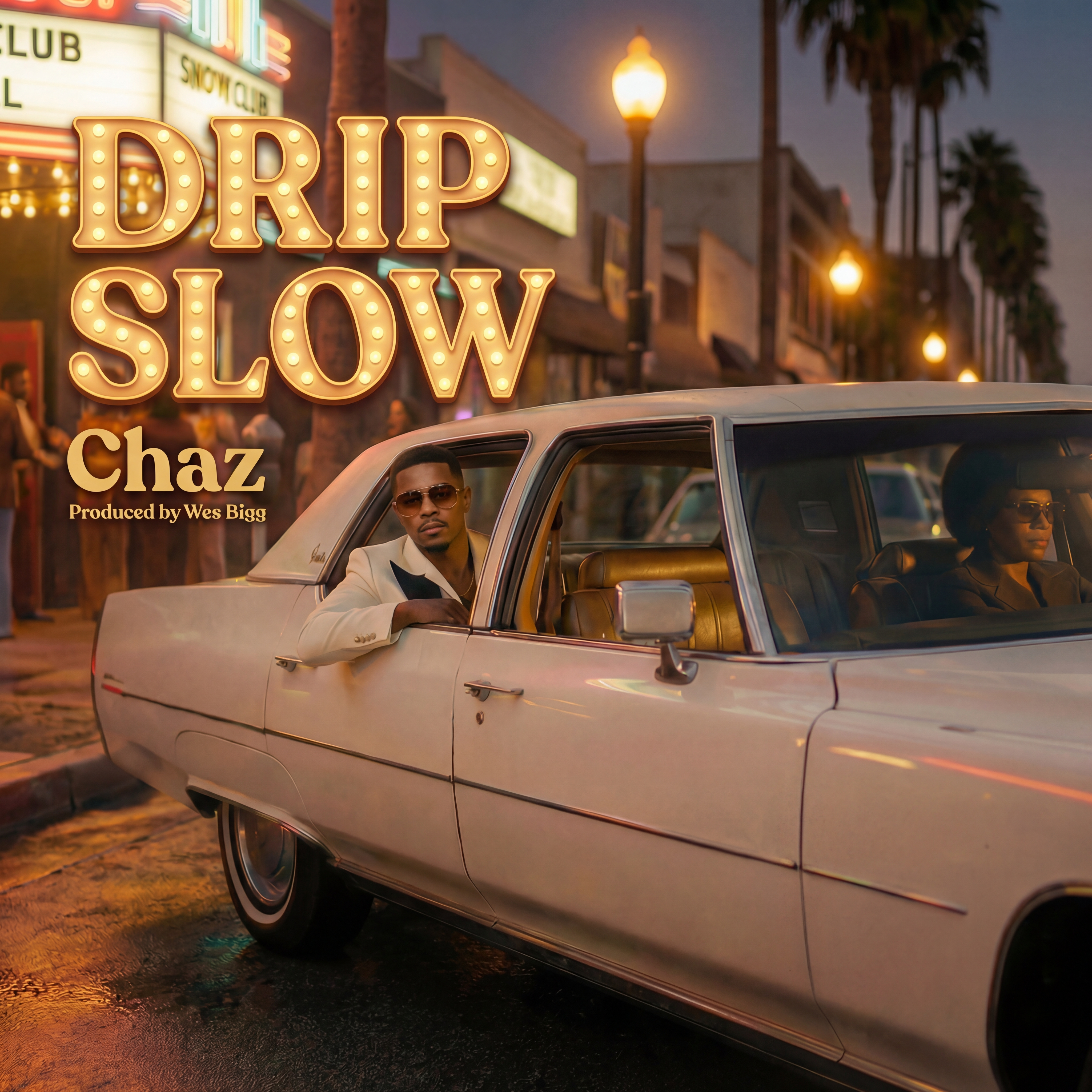 Drip Slow artwork