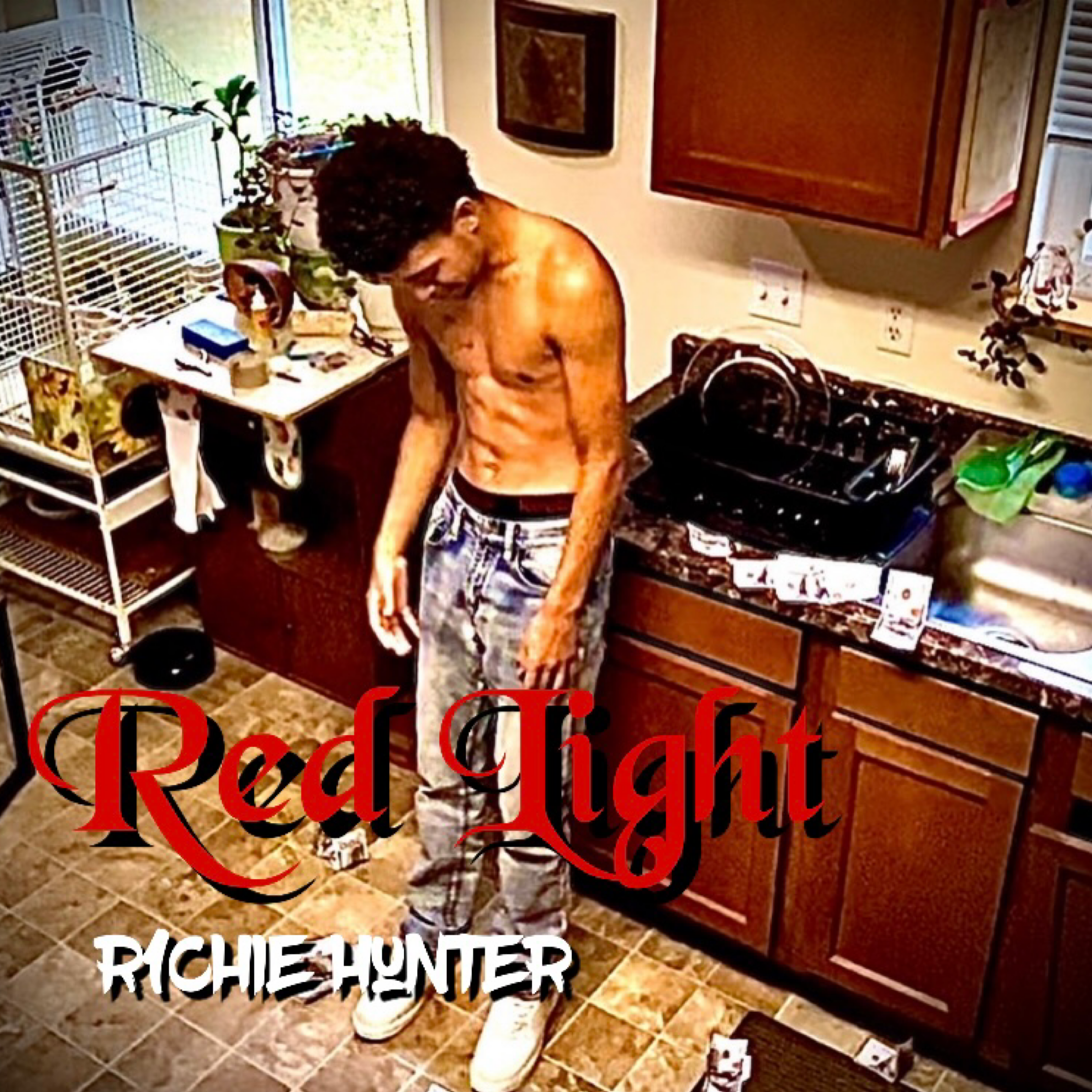 Red Light by R1chie Hunter cover art