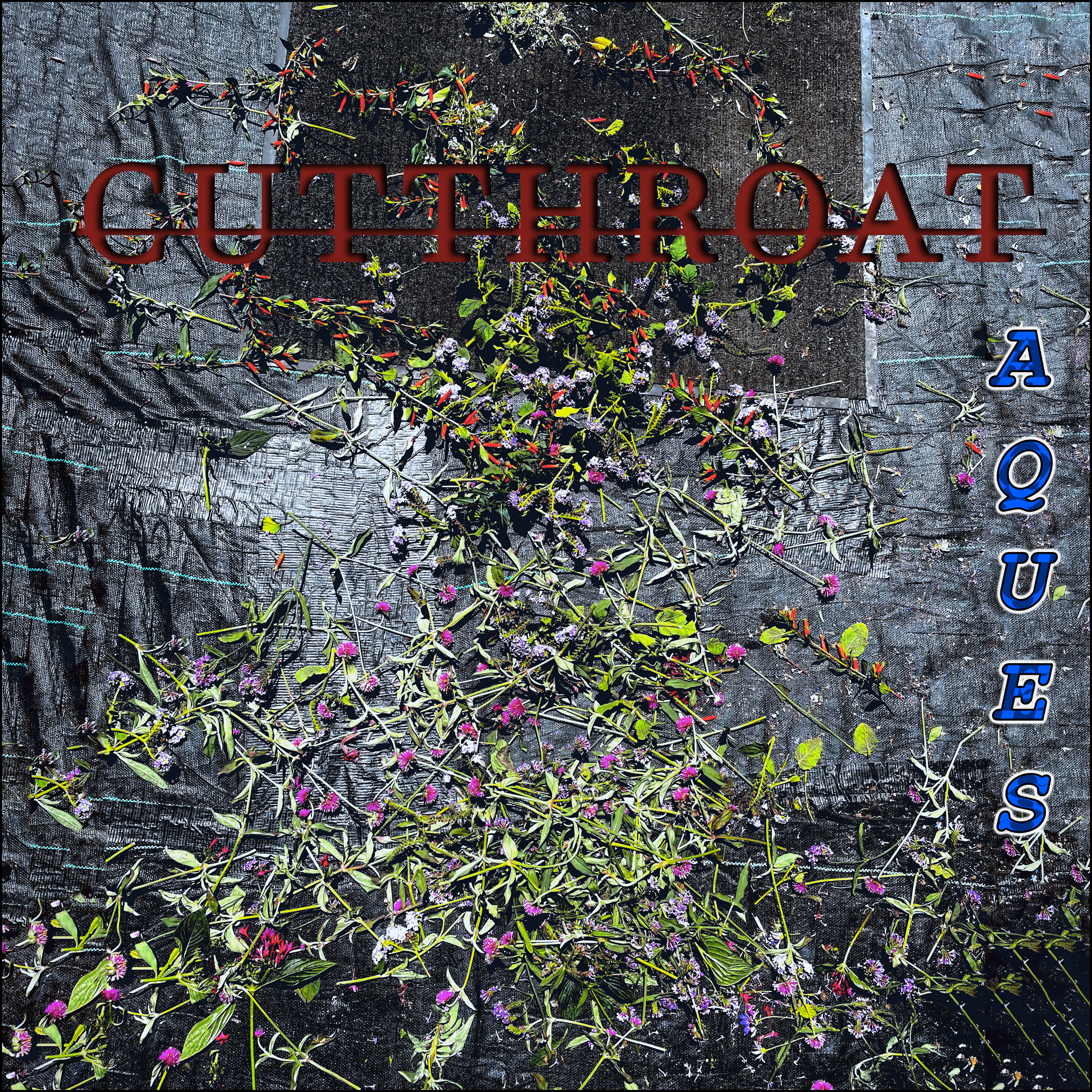 Cutthroat artwork