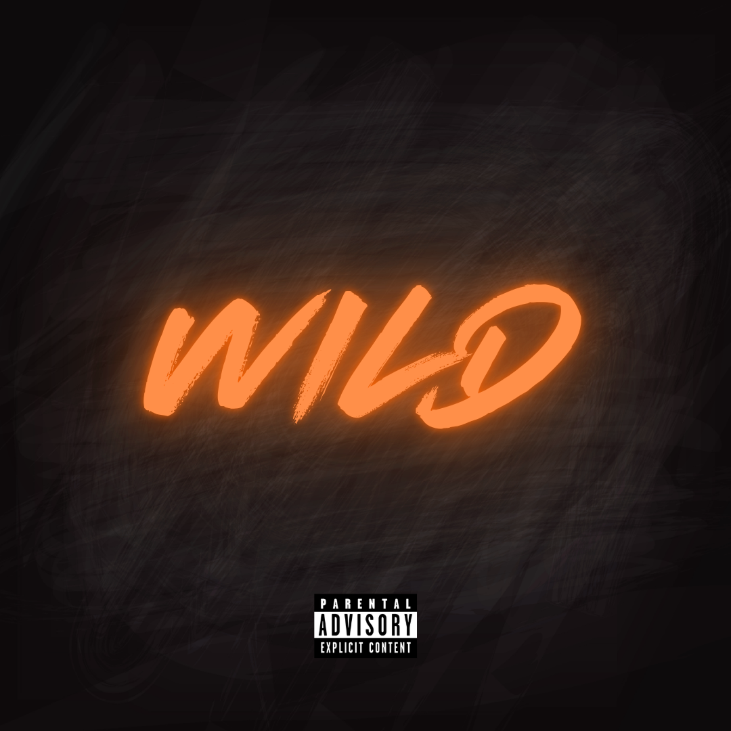 WILD artwork