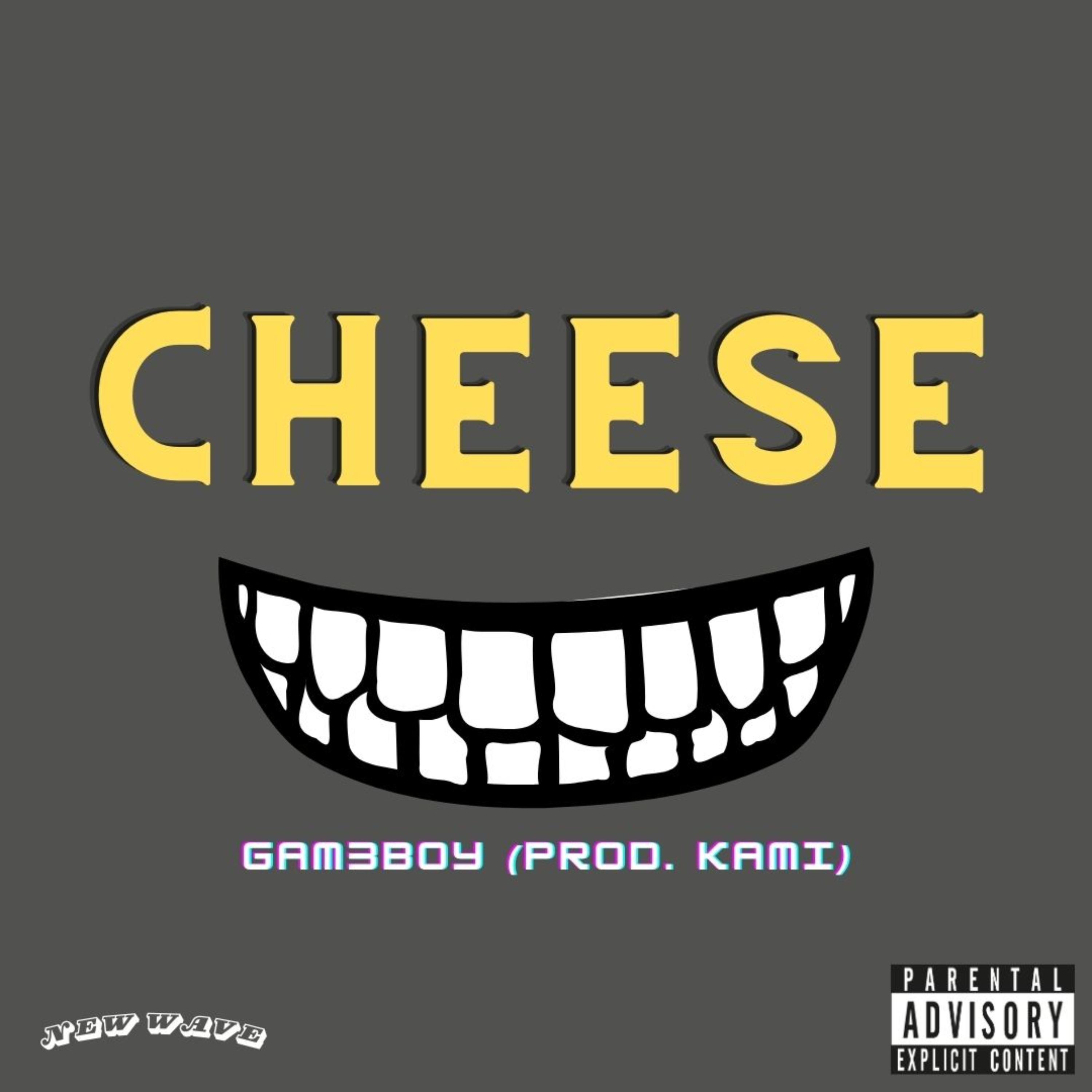 Cheese artwork