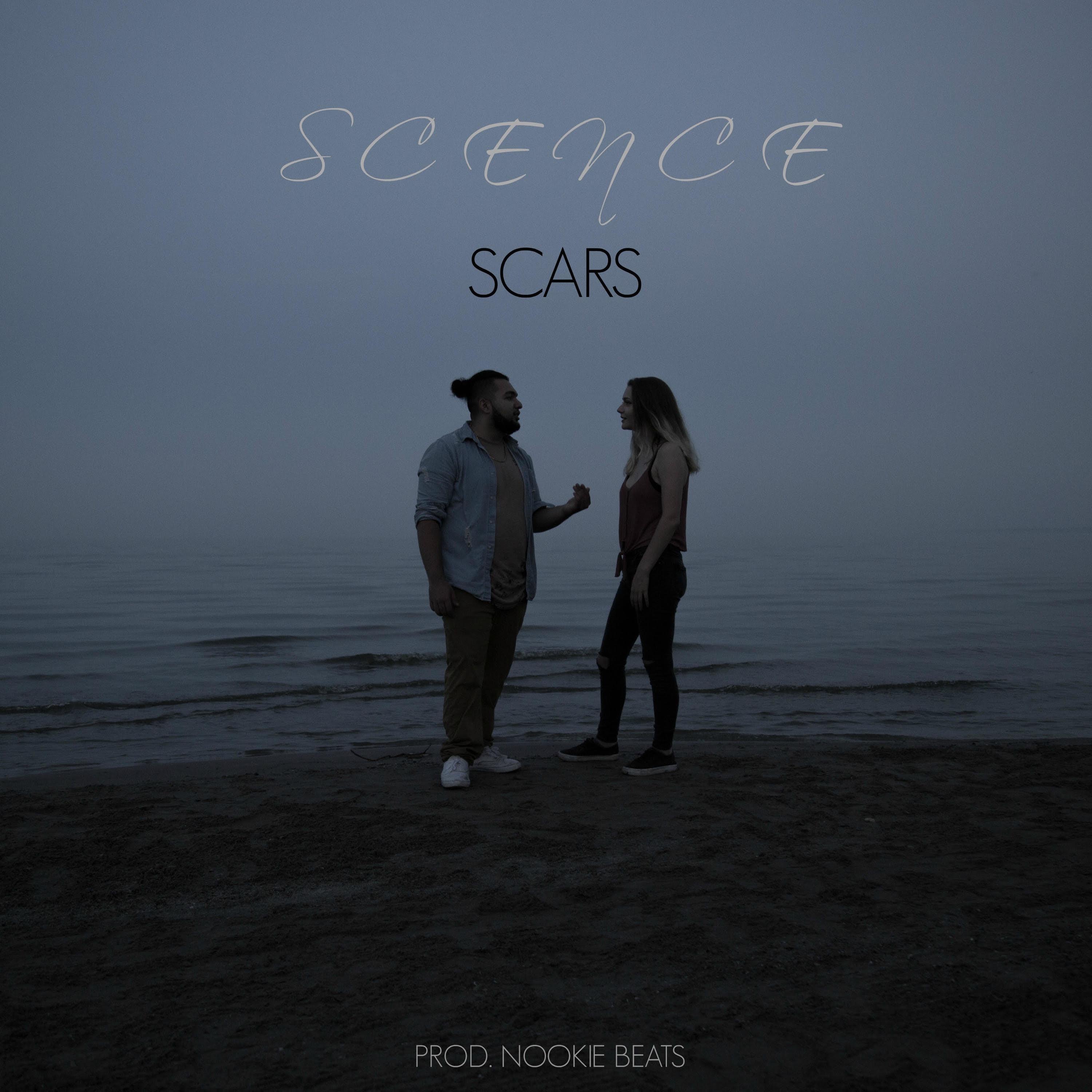 Scars artwork