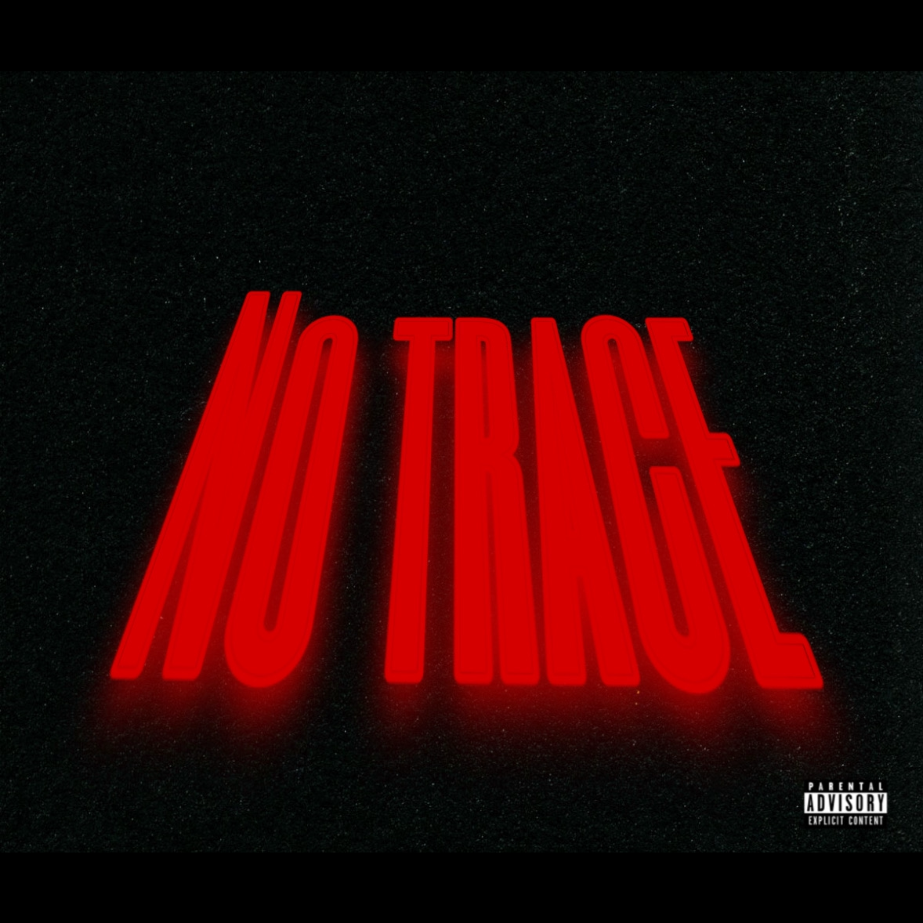 NO TRACE artwork