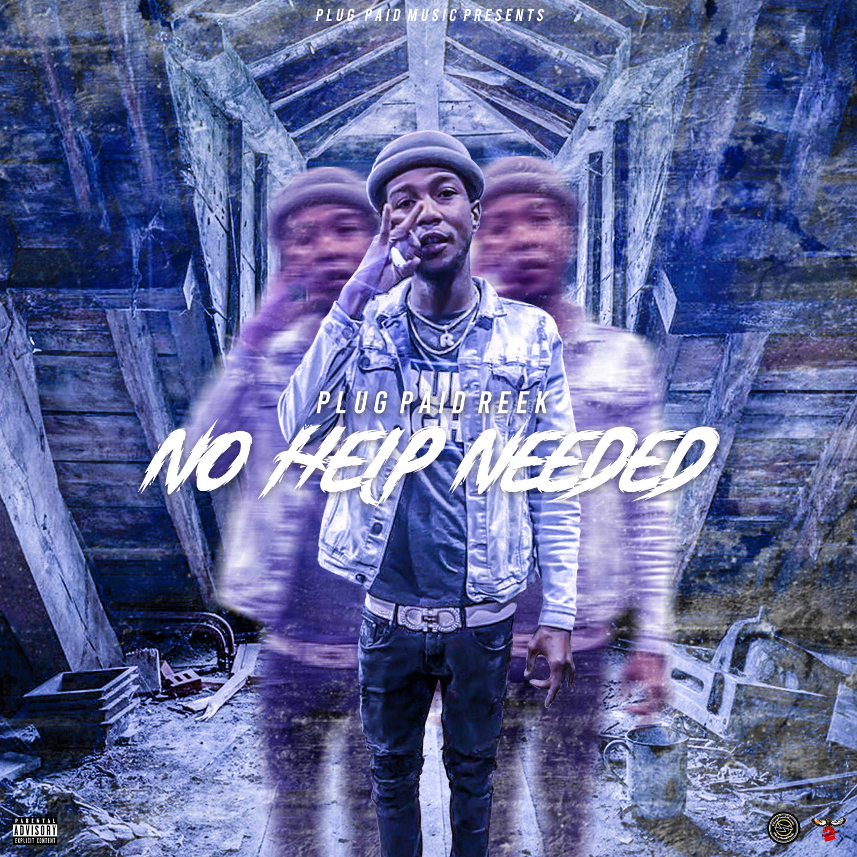 NoHelpNeeded by PlugPaidReek cover art