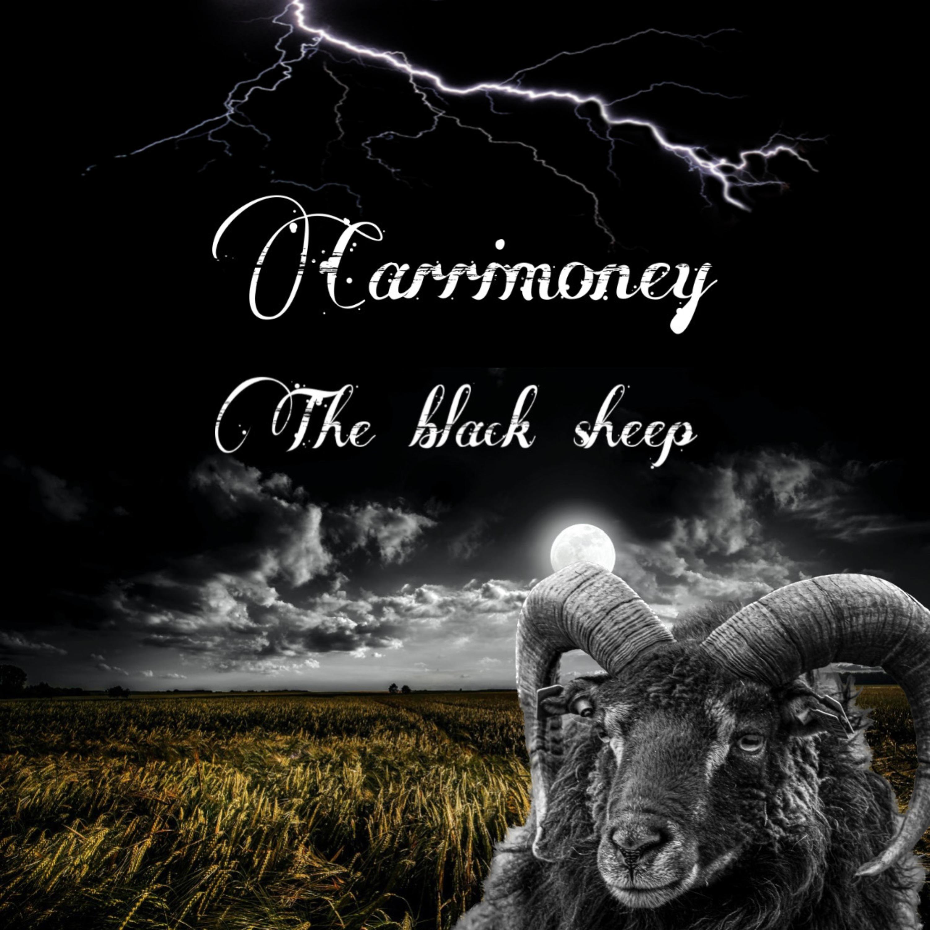 The Black Sheep artwork