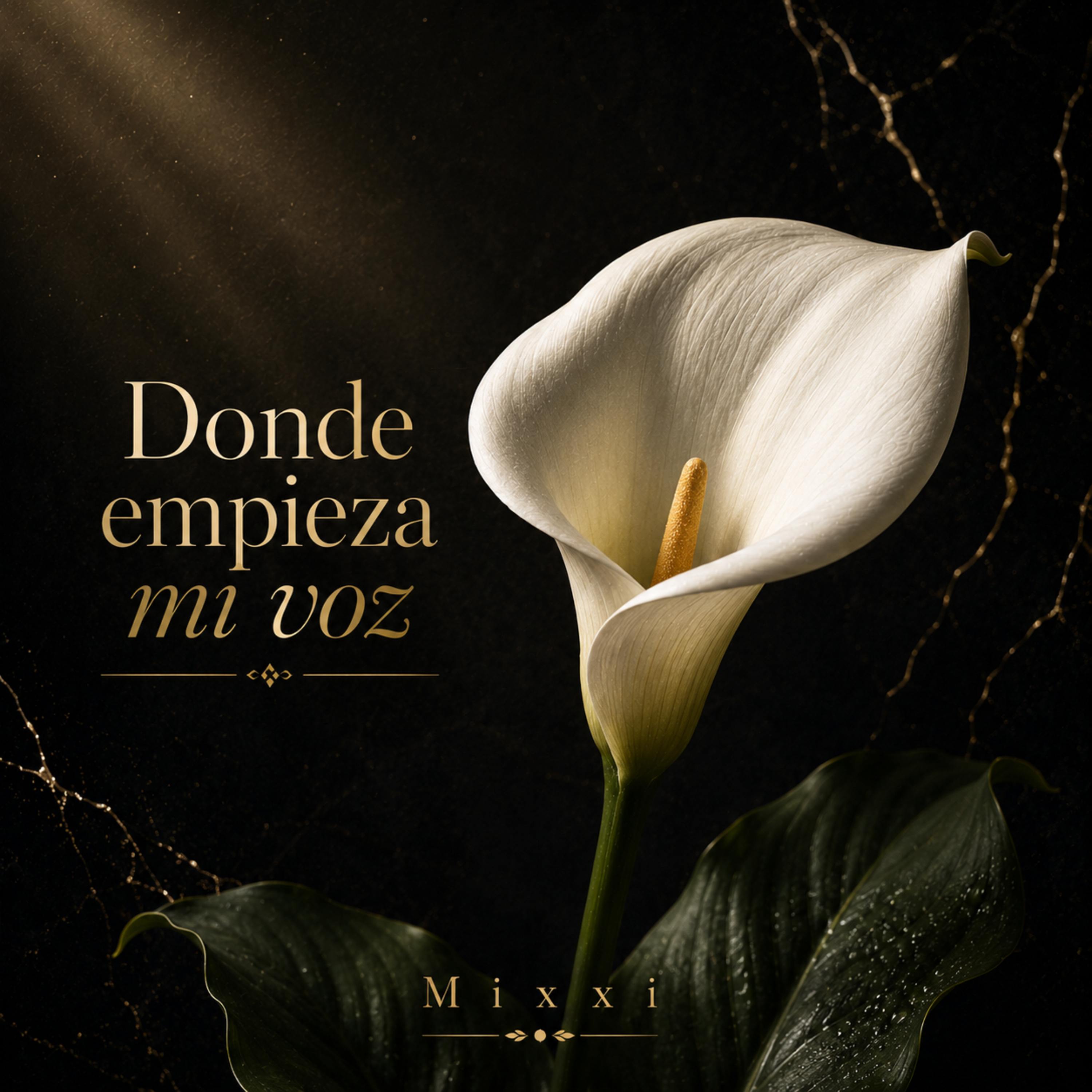 Donde empieza mi voz by Mixxi cover art