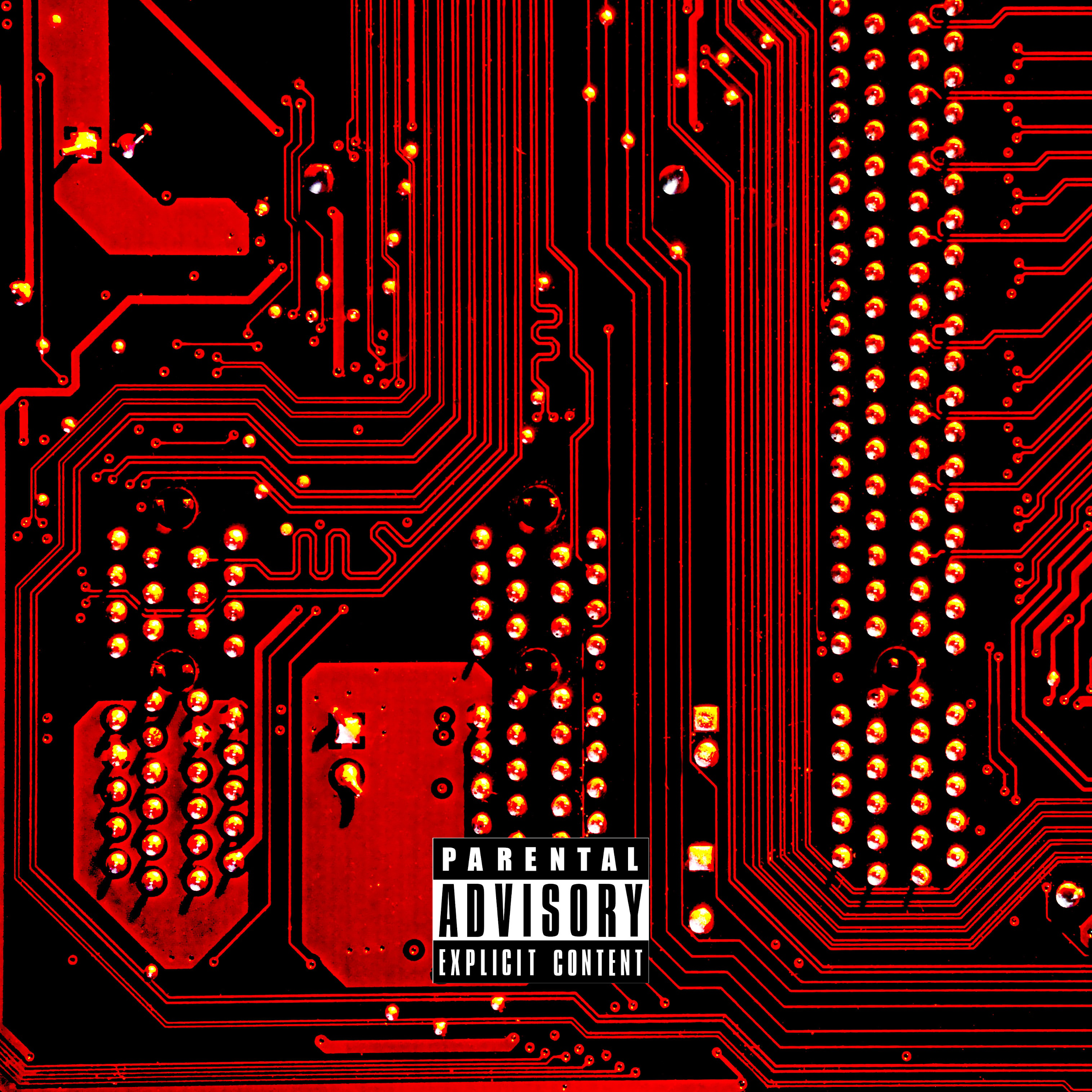 Program by Smoove Irie cover art