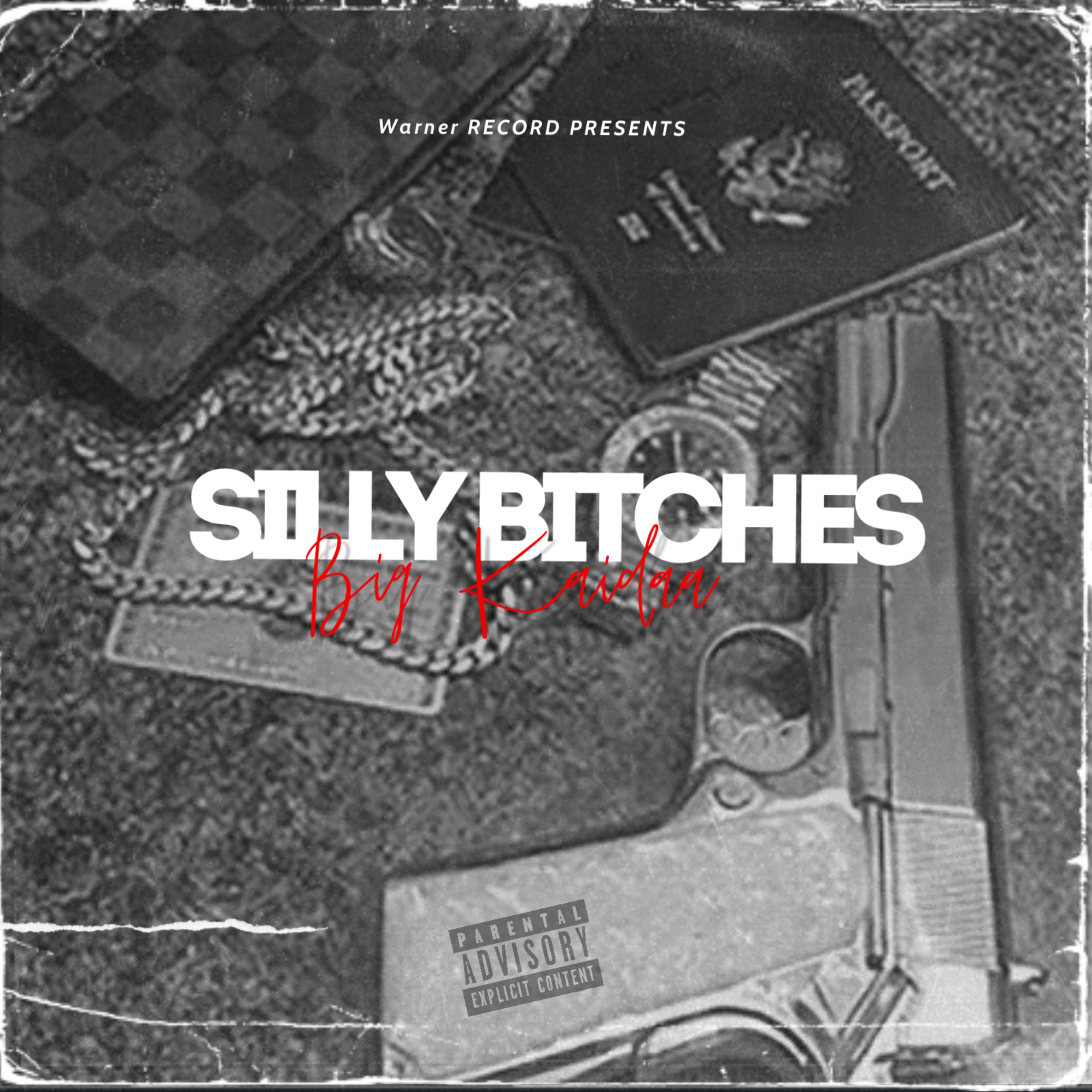 Silly Bitches artwork