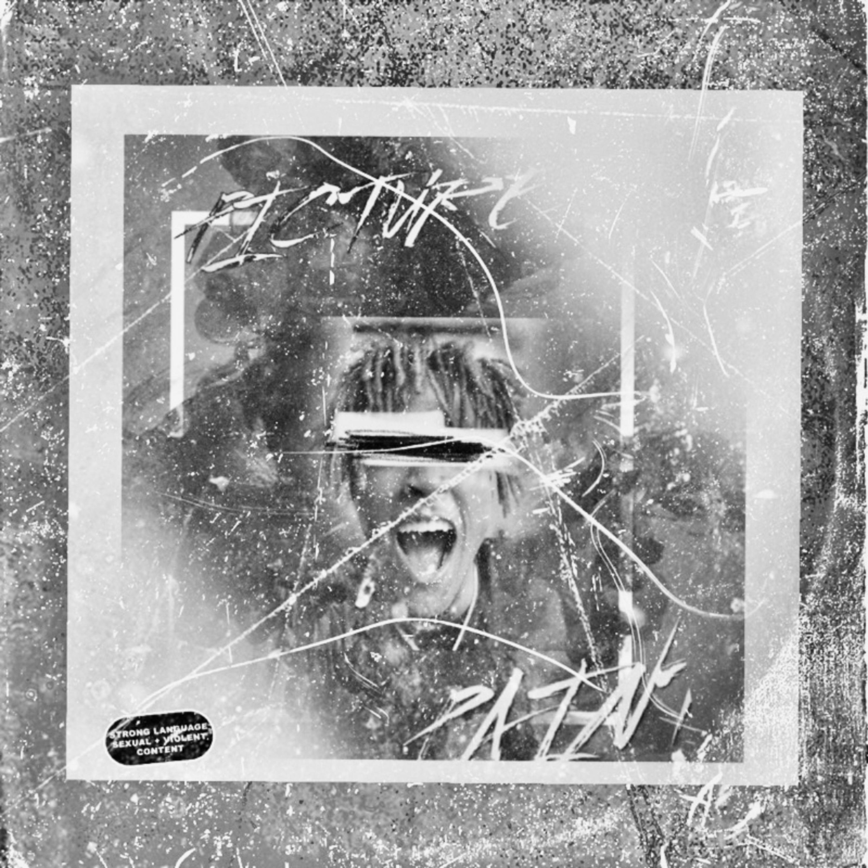 Picture Paint Deluxe artwork