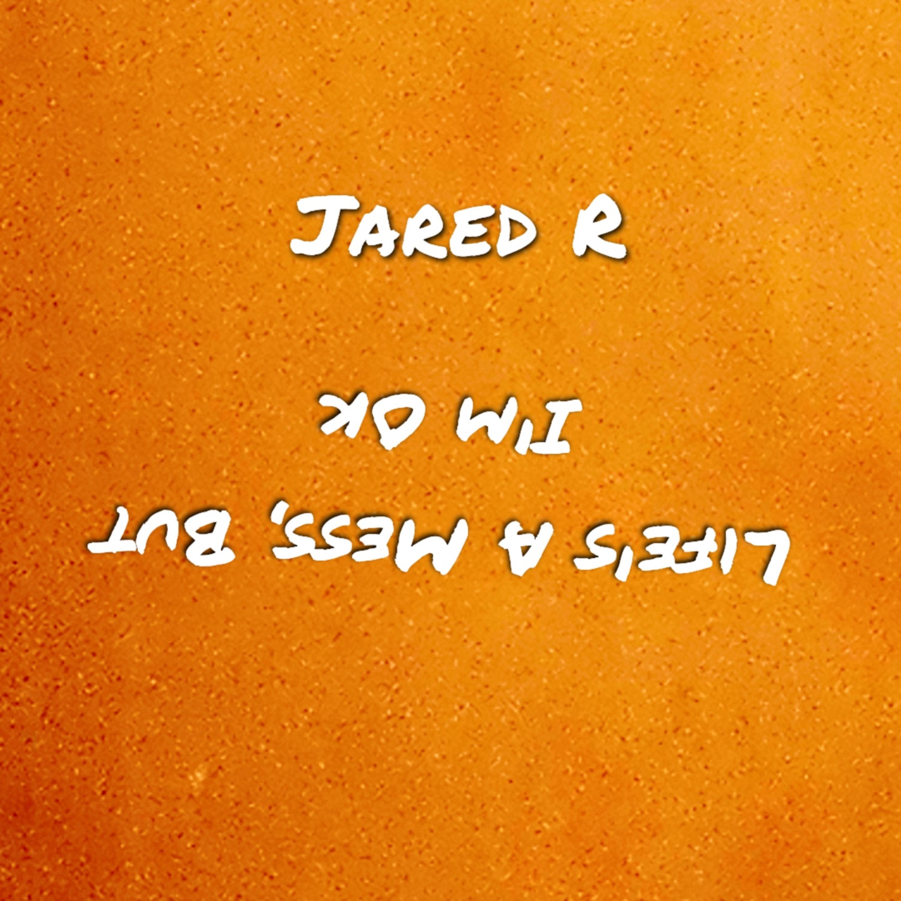 Life's A Mess, But I'm Ok. artwork