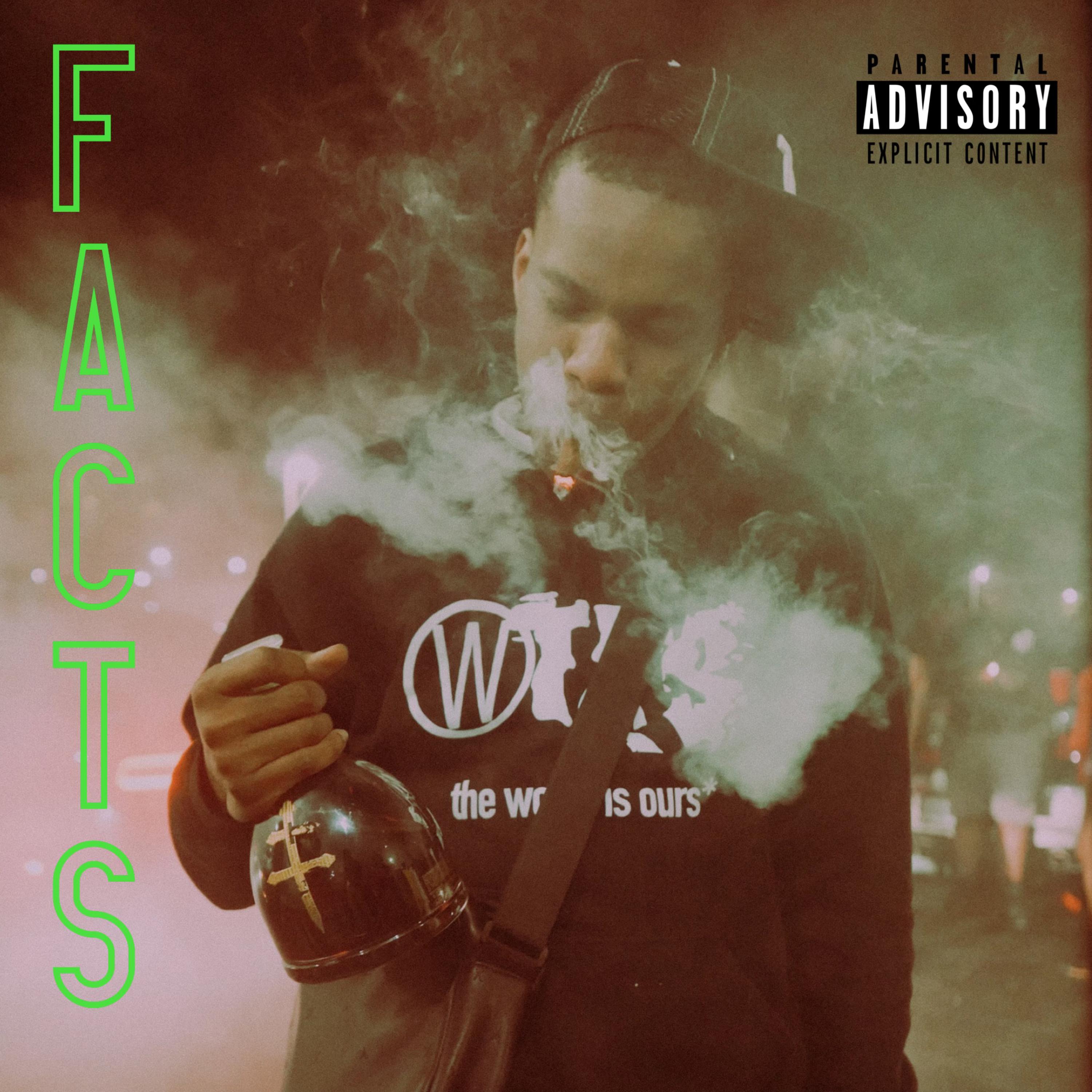 Facts artwork