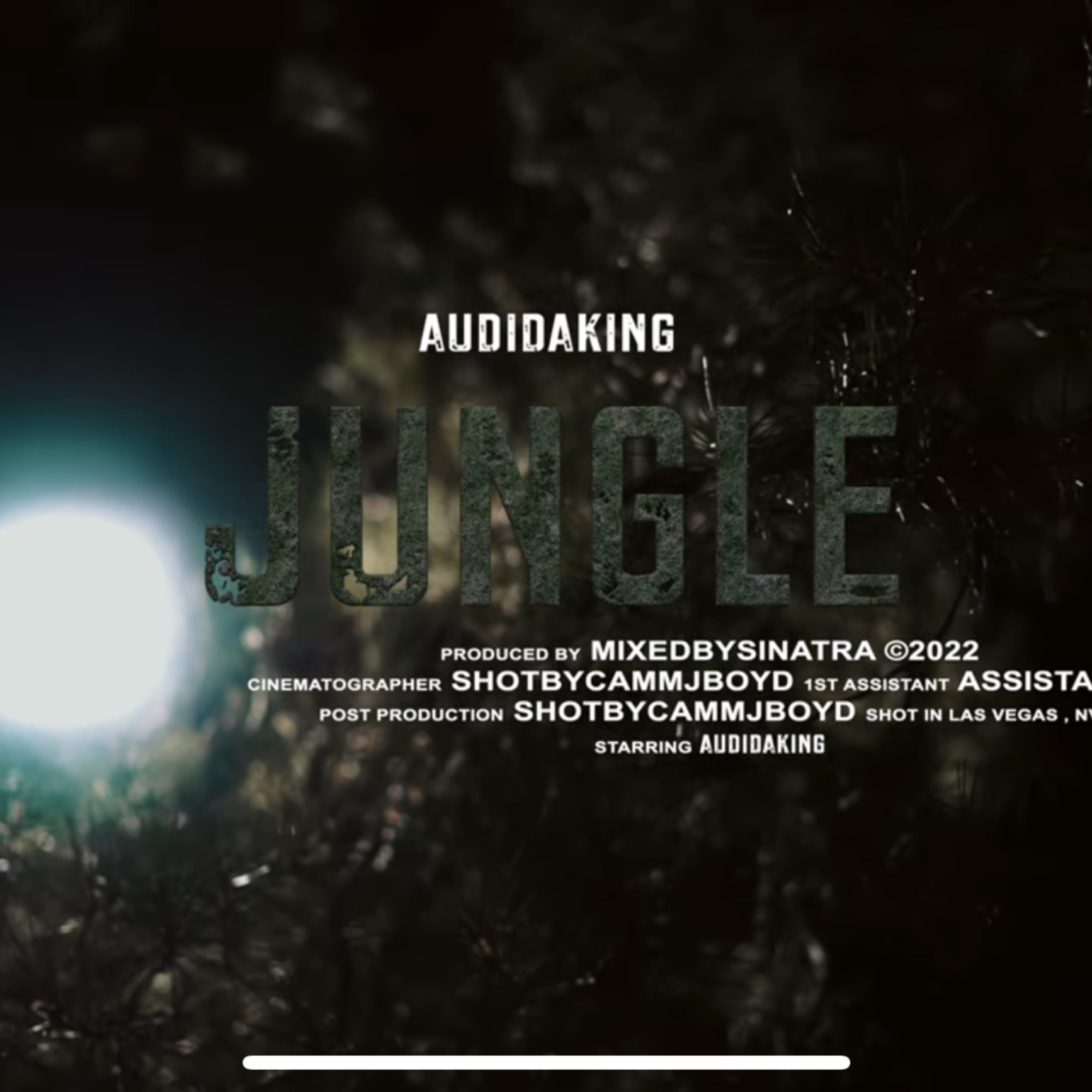 Jungle artwork