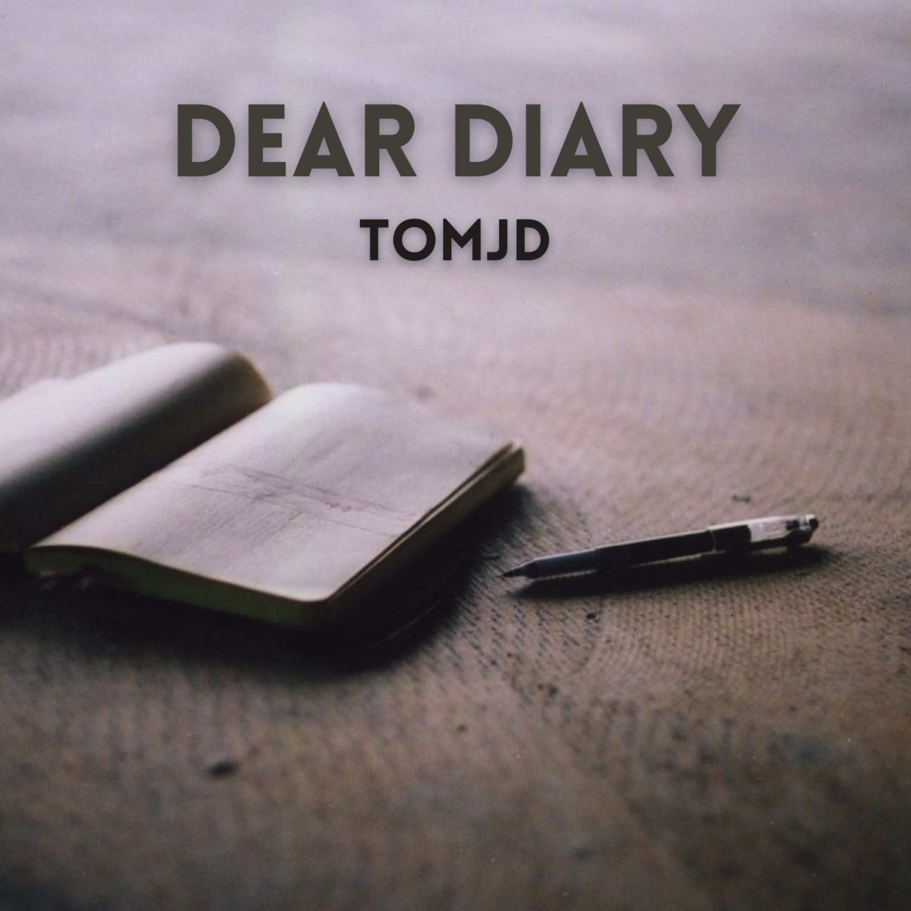 Dear Diary artwork