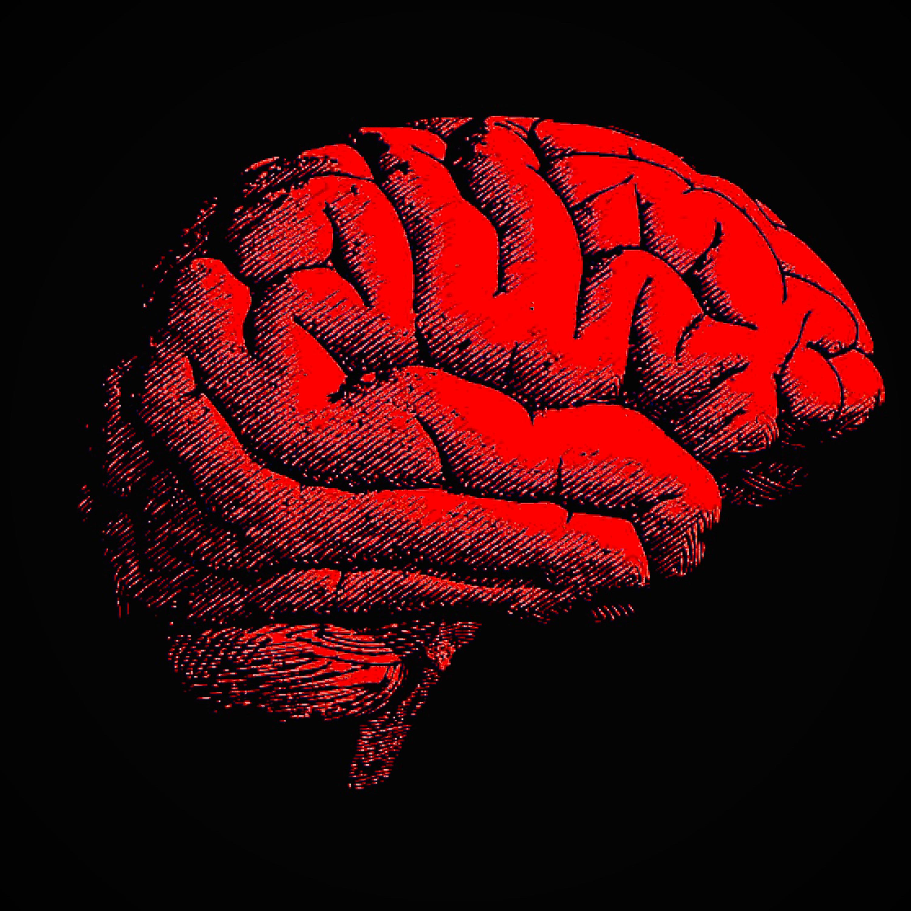 Mental Illness artwork
