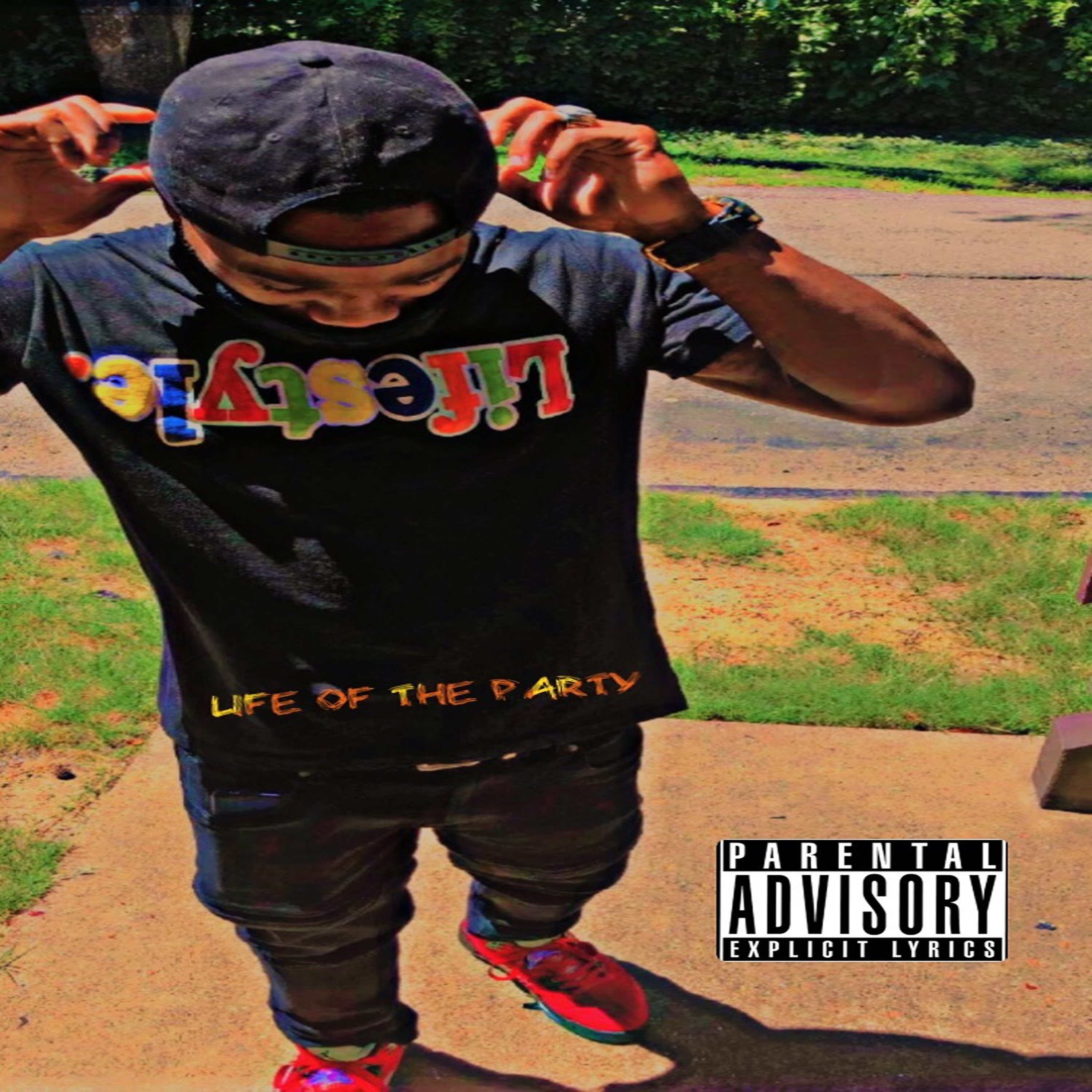 Life of The Party artwork
