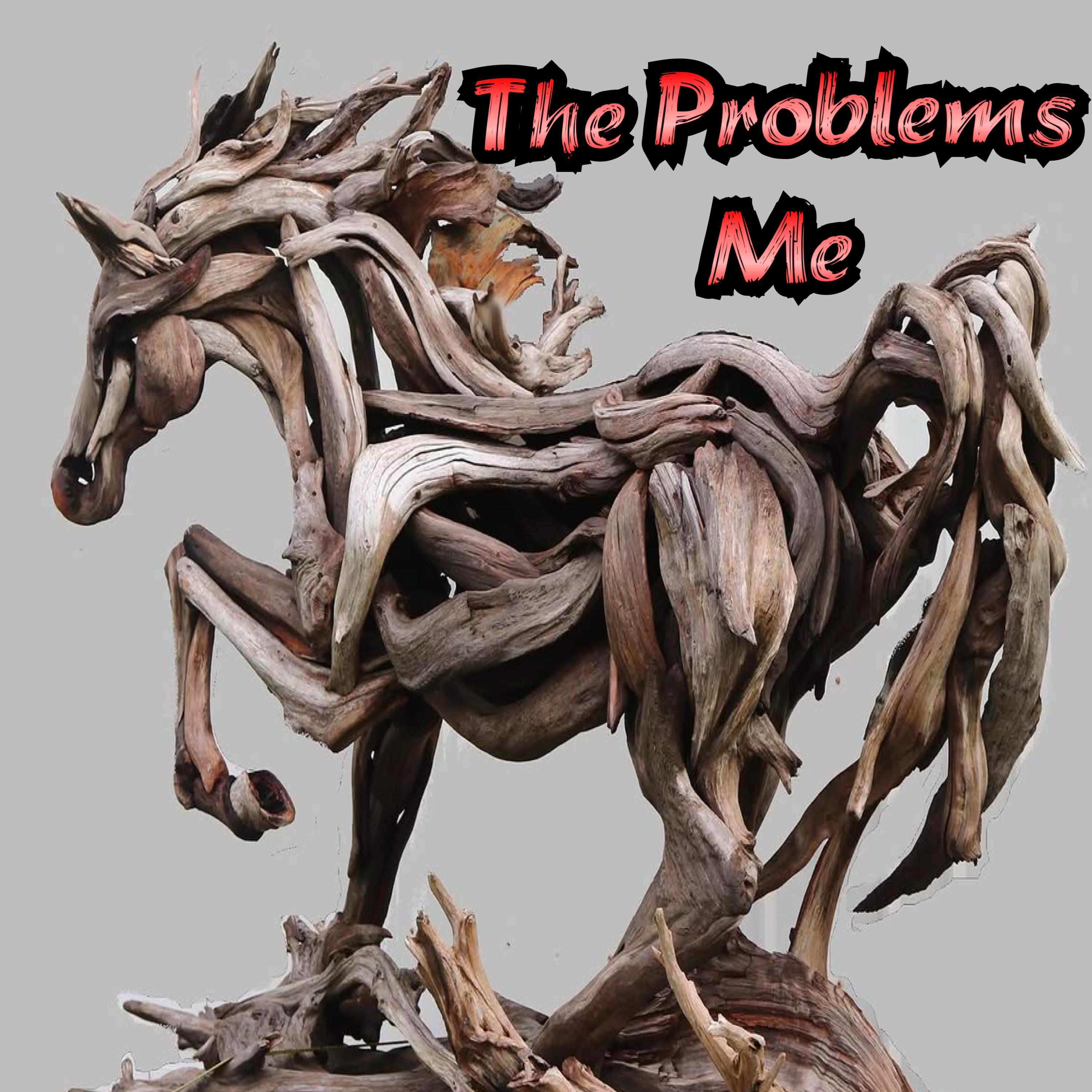 The Problems Me artwork
