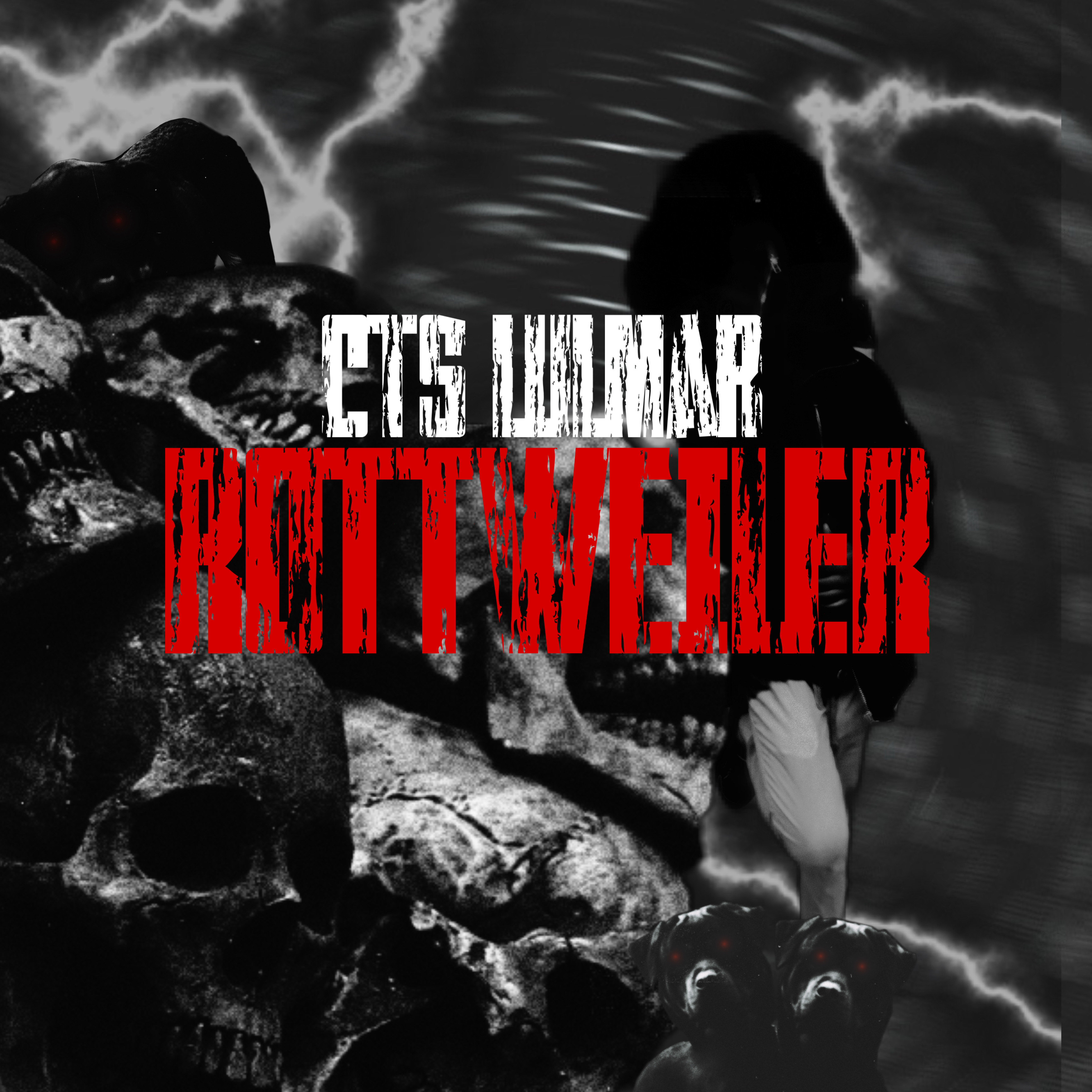 RottWeiler artwork