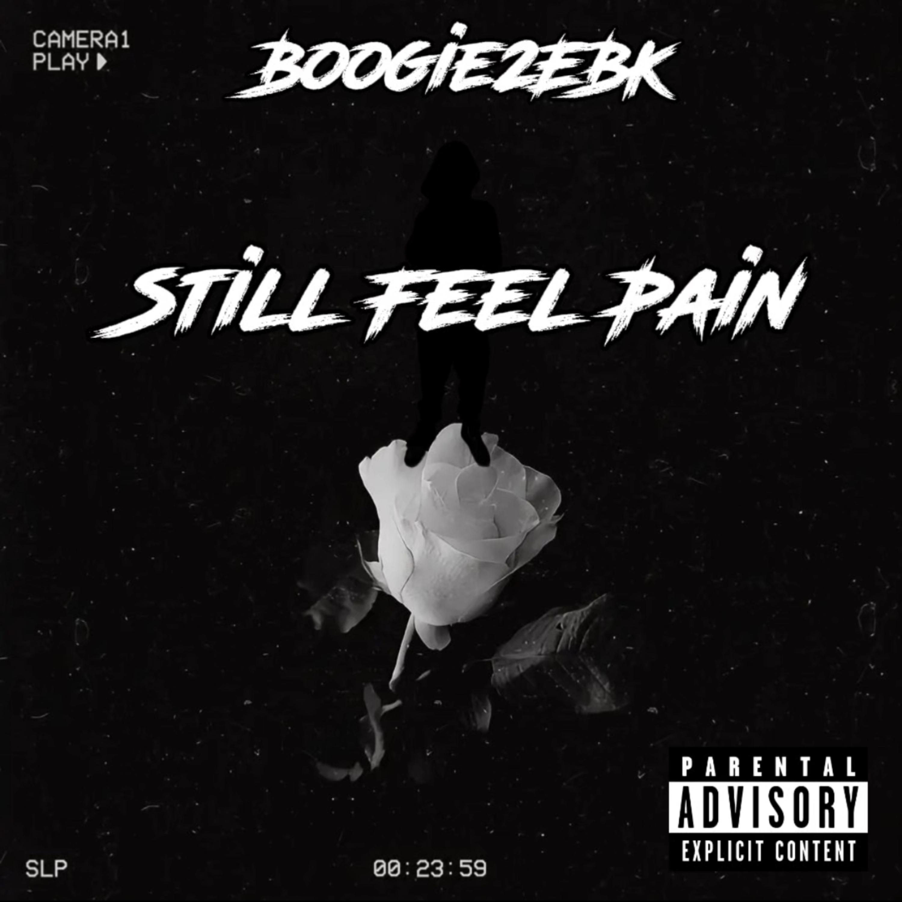 Still Feel Pain artwork