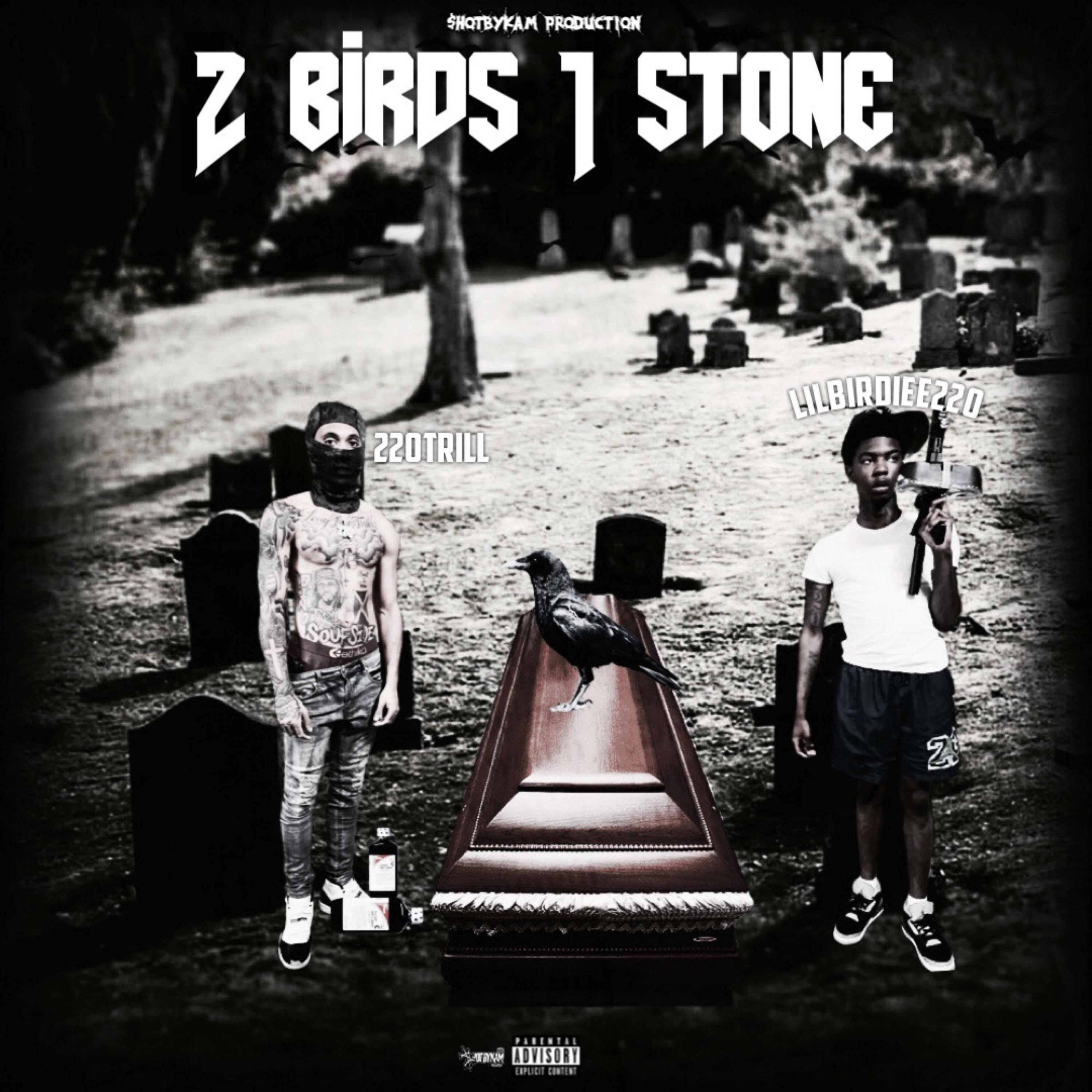 2 Birds 1 Stone artwork