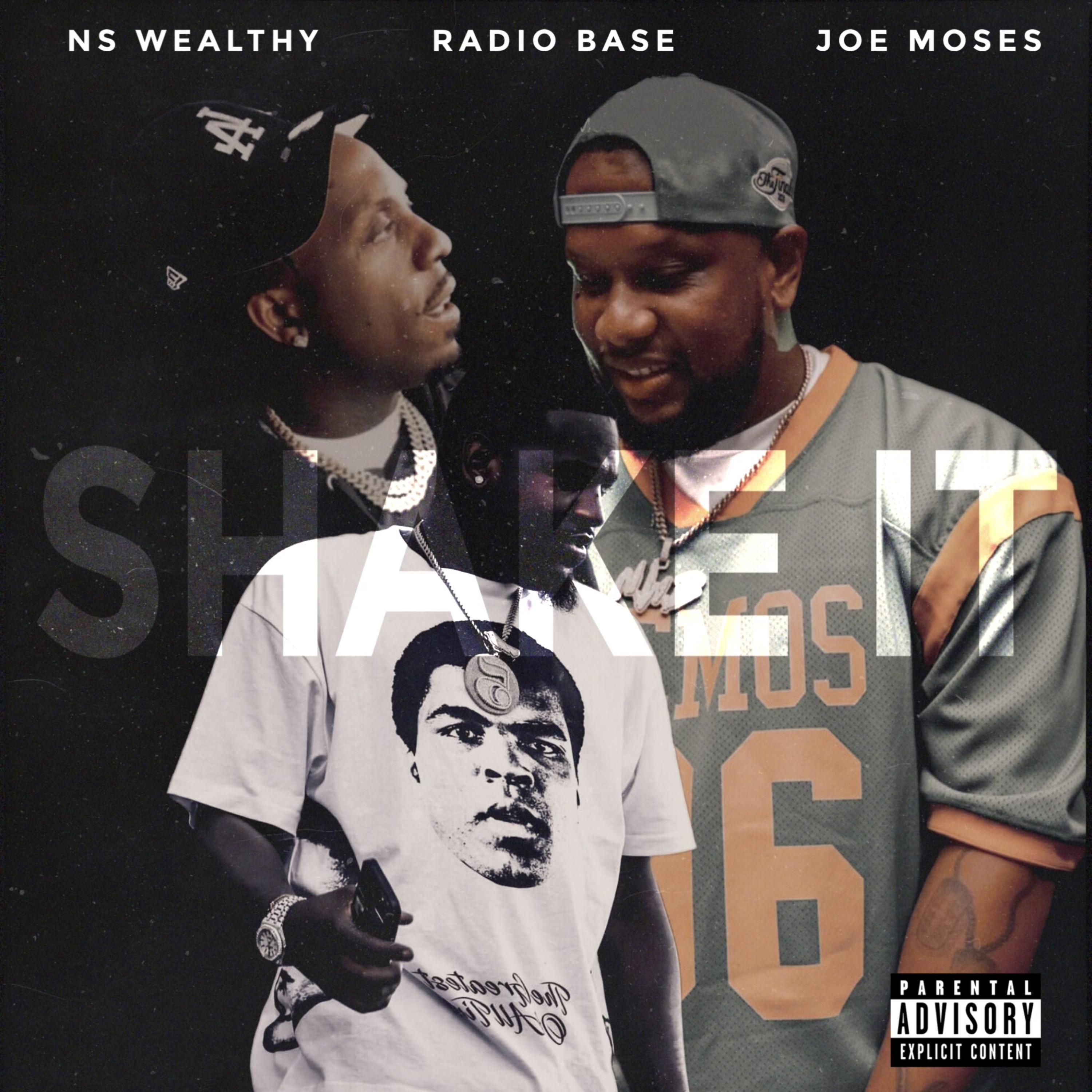 Shake It artwork