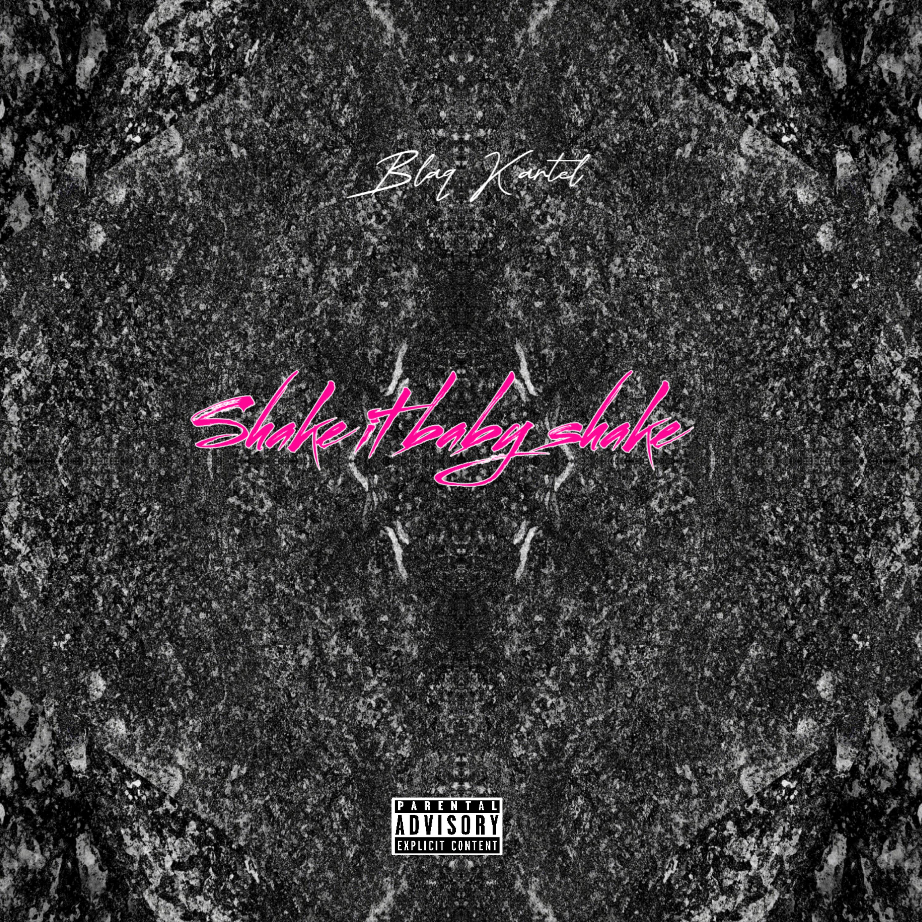 Shake It Baby Shake artwork