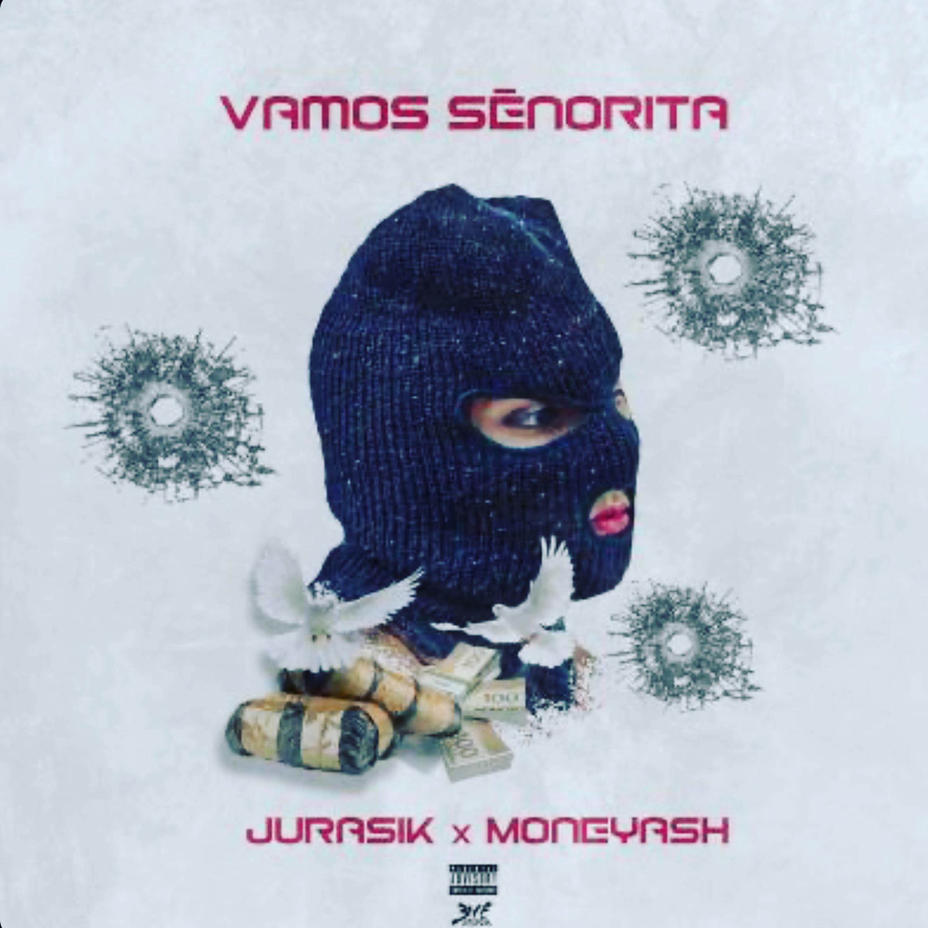 VAMOS SEÑORITA by MONEYA$H cover art