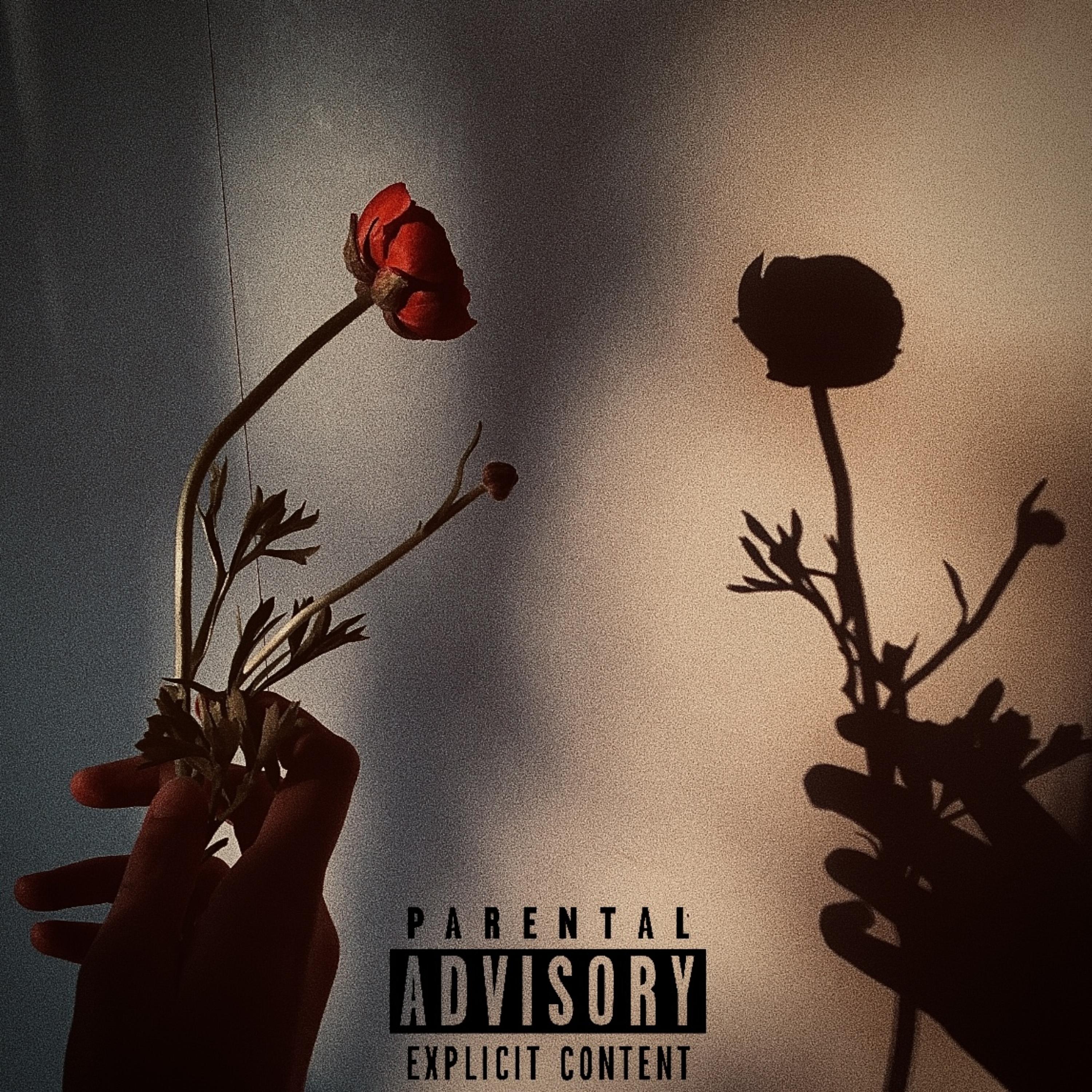 Twenty Three artwork