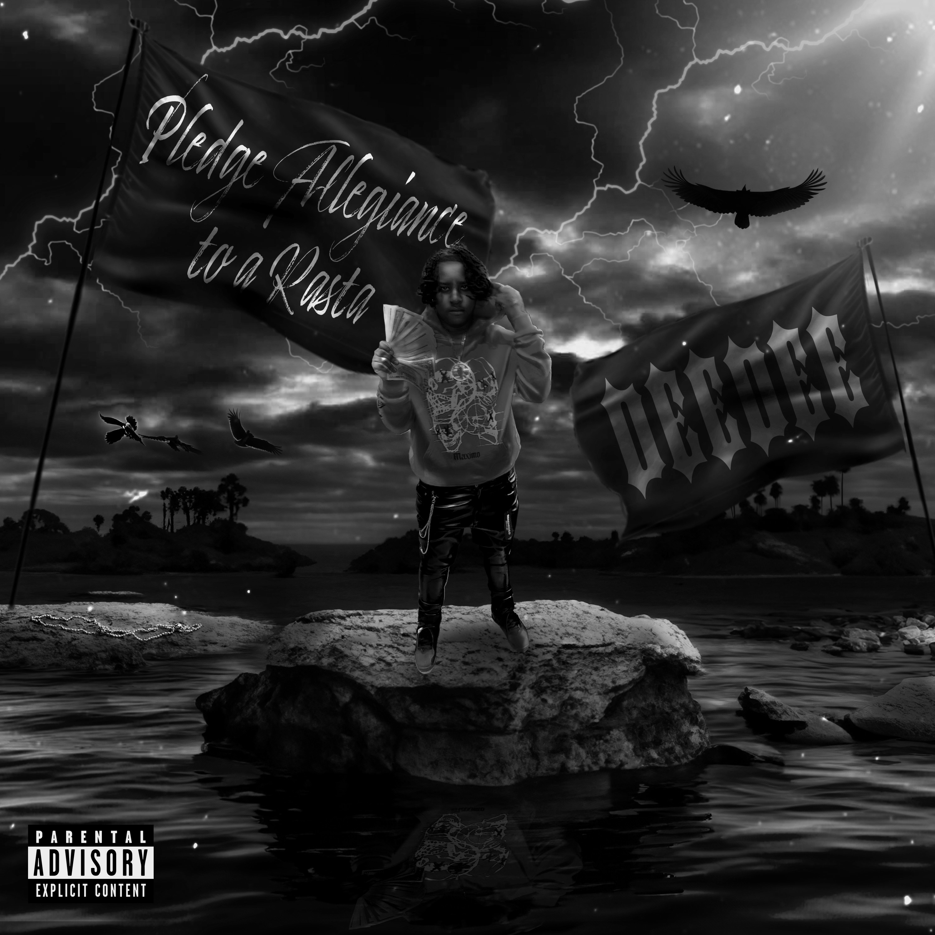 PLEDGE OF ALLIGIANCE TO A RASTA ( DELUXE ) artwork