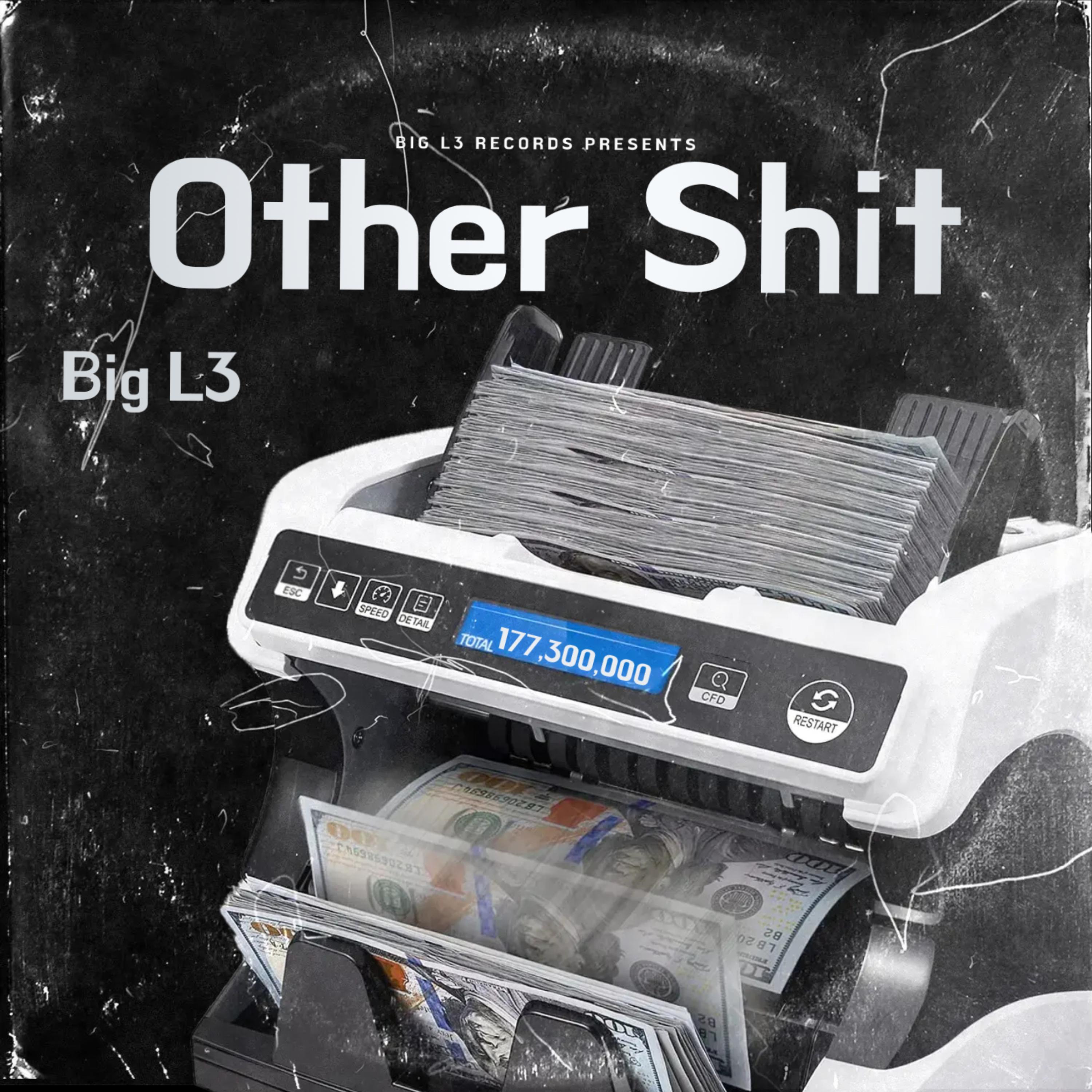 Other Shit artwork