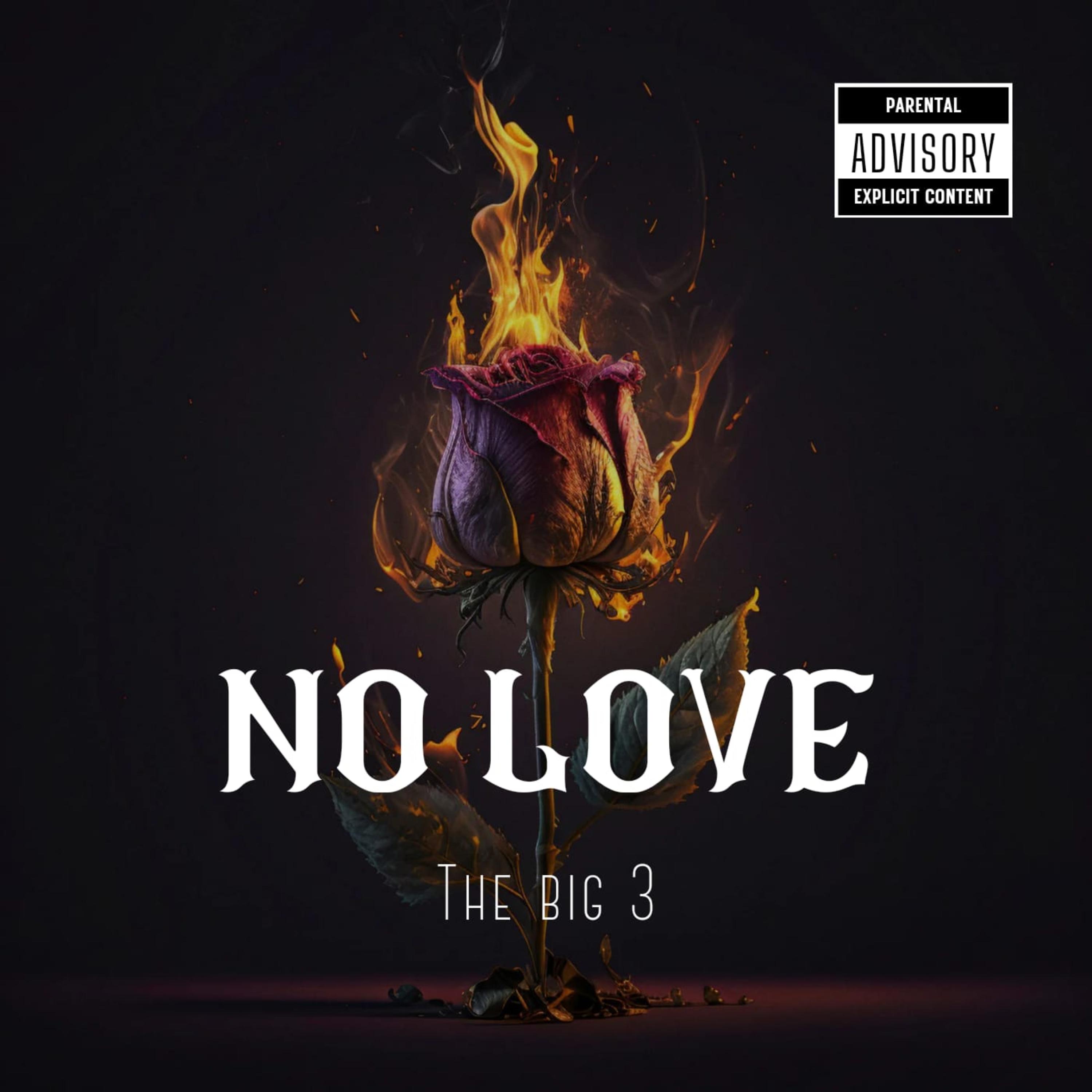 THE BIG 3 NO LOVE artwork