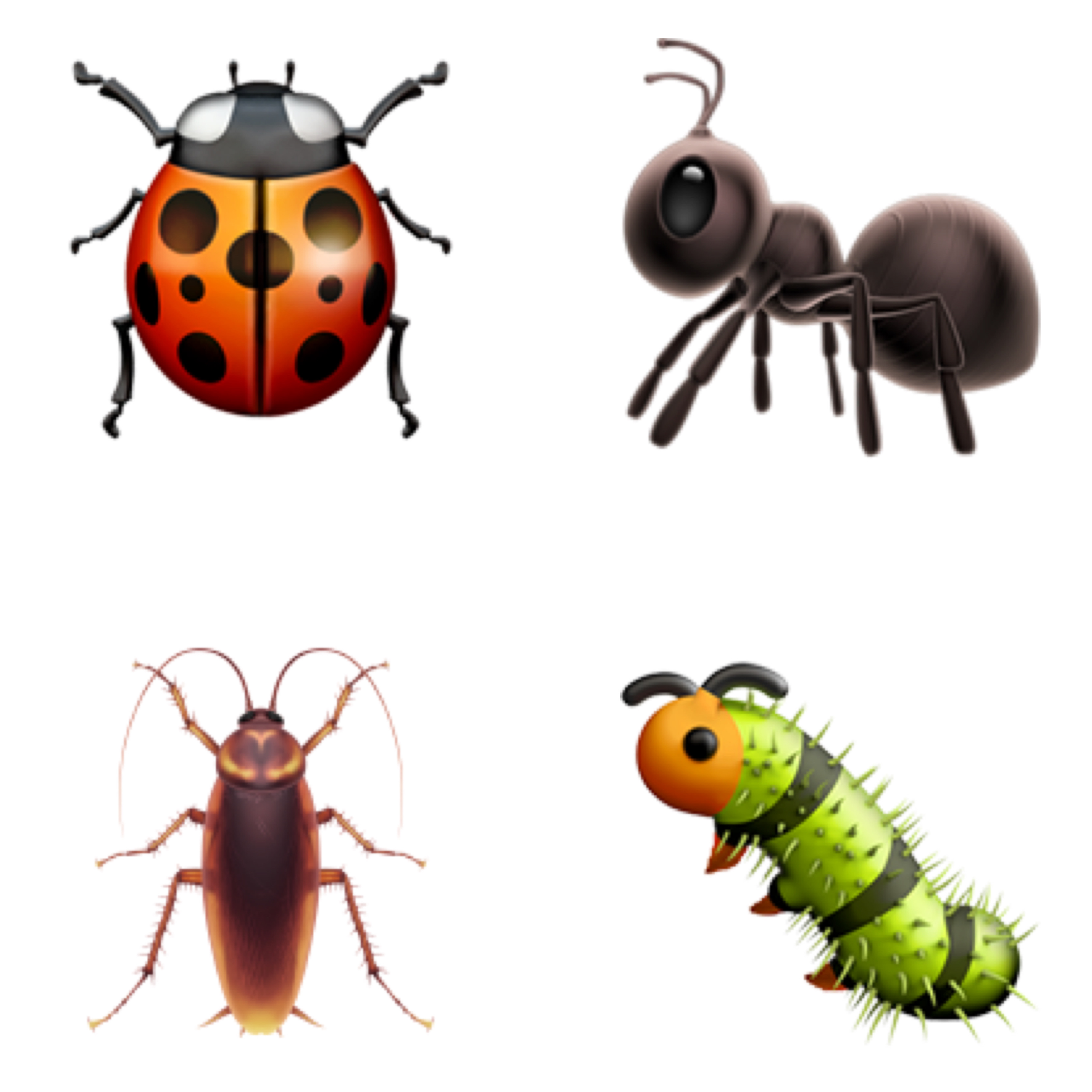 bugs by LOVE, HEATH cover art