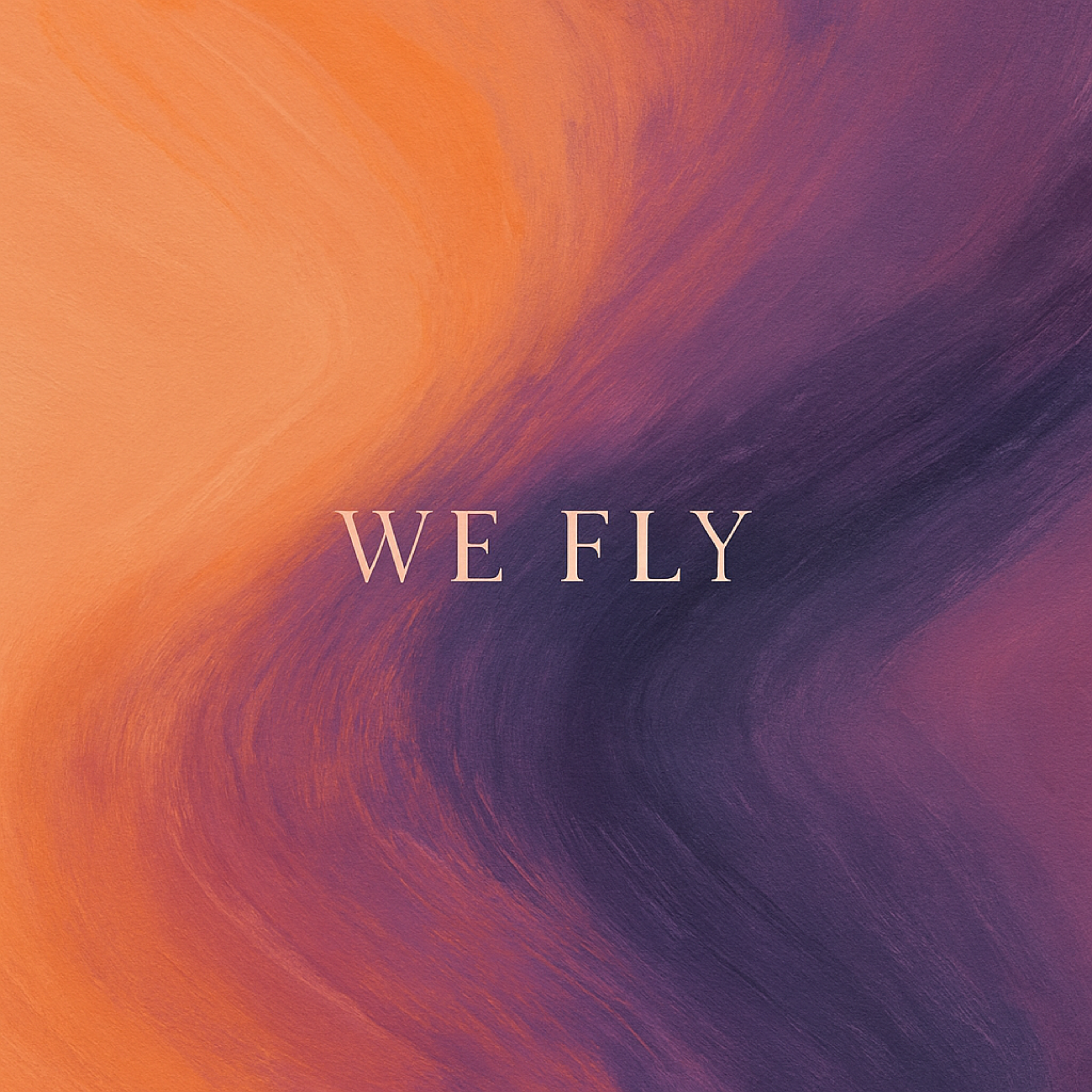 We Fly artwork