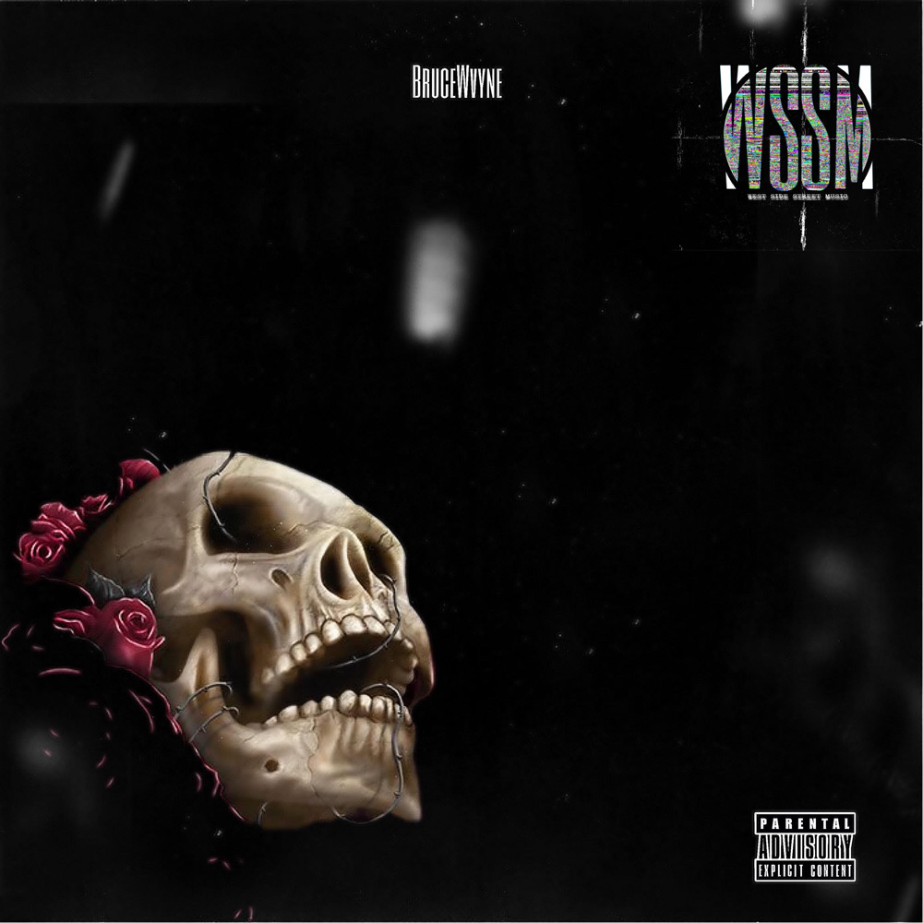 Narcissists by Only1brucewvyne cover art