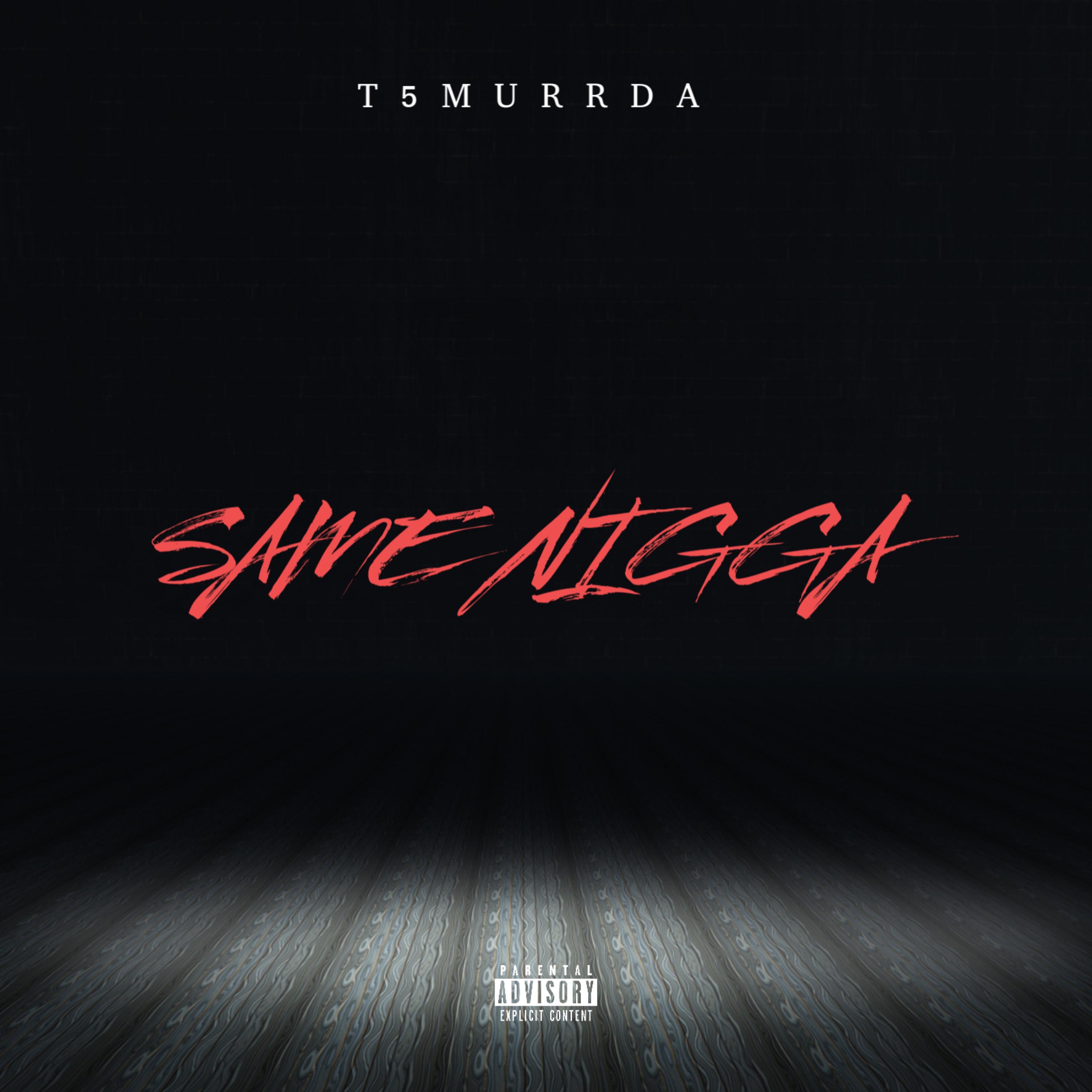 Same Nigga artwork