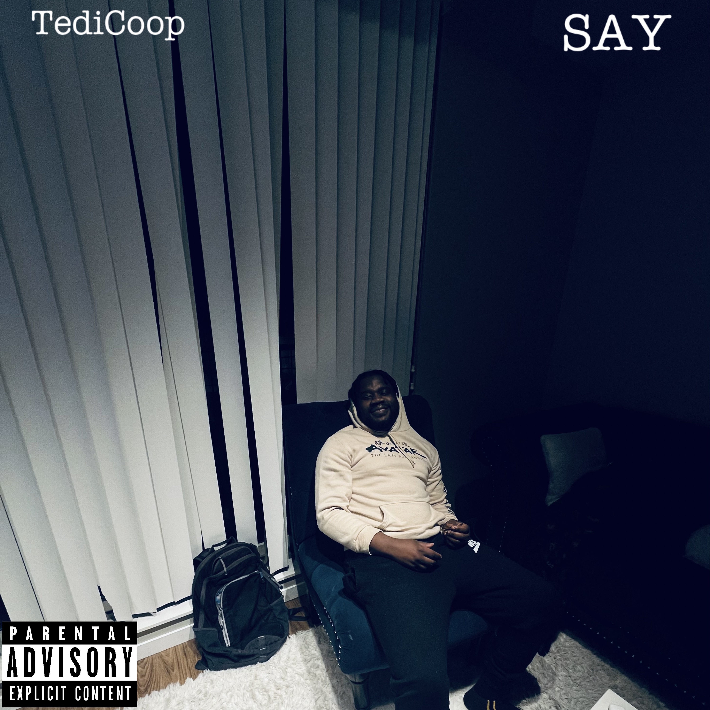 Say artwork