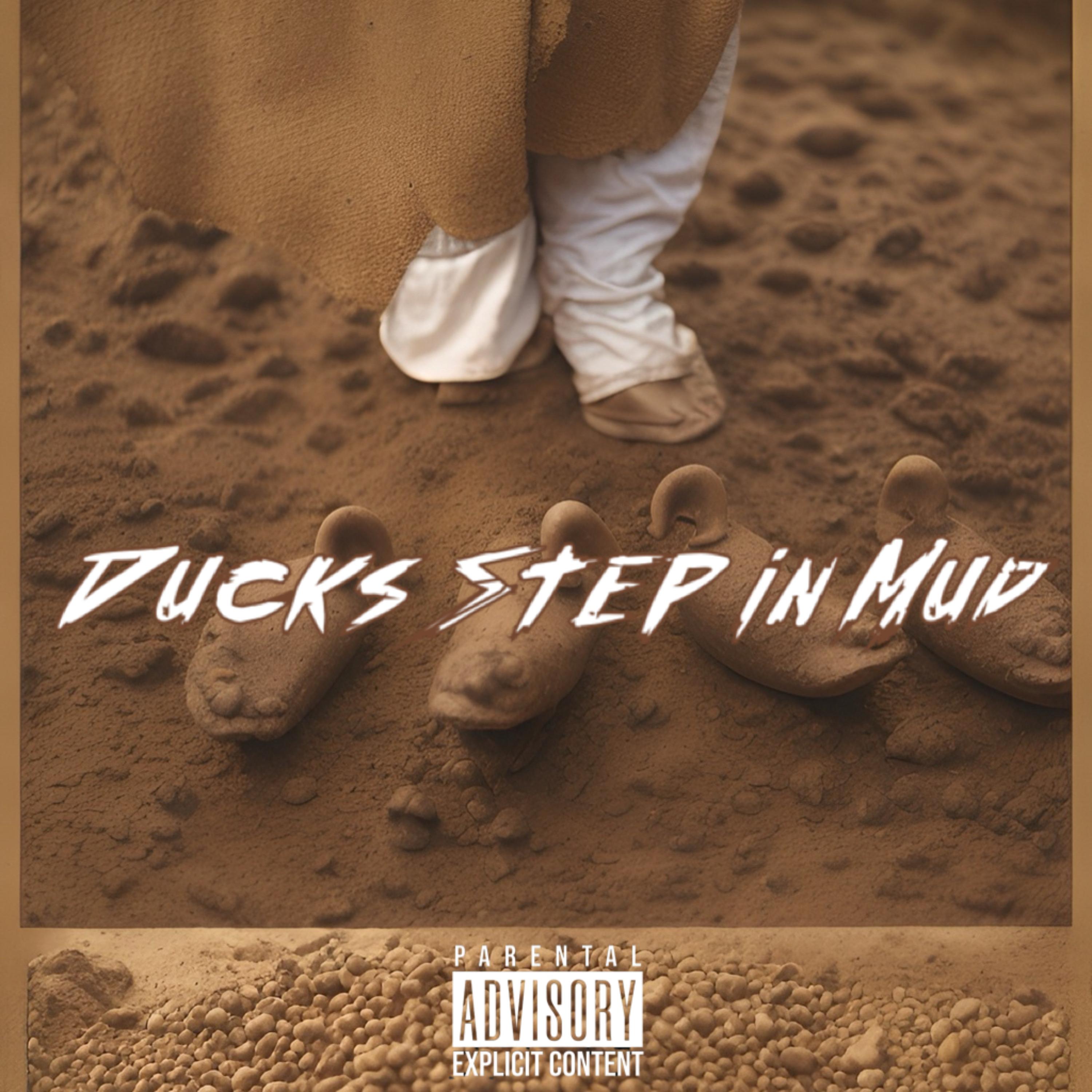 Ducks Step In Mud artwork