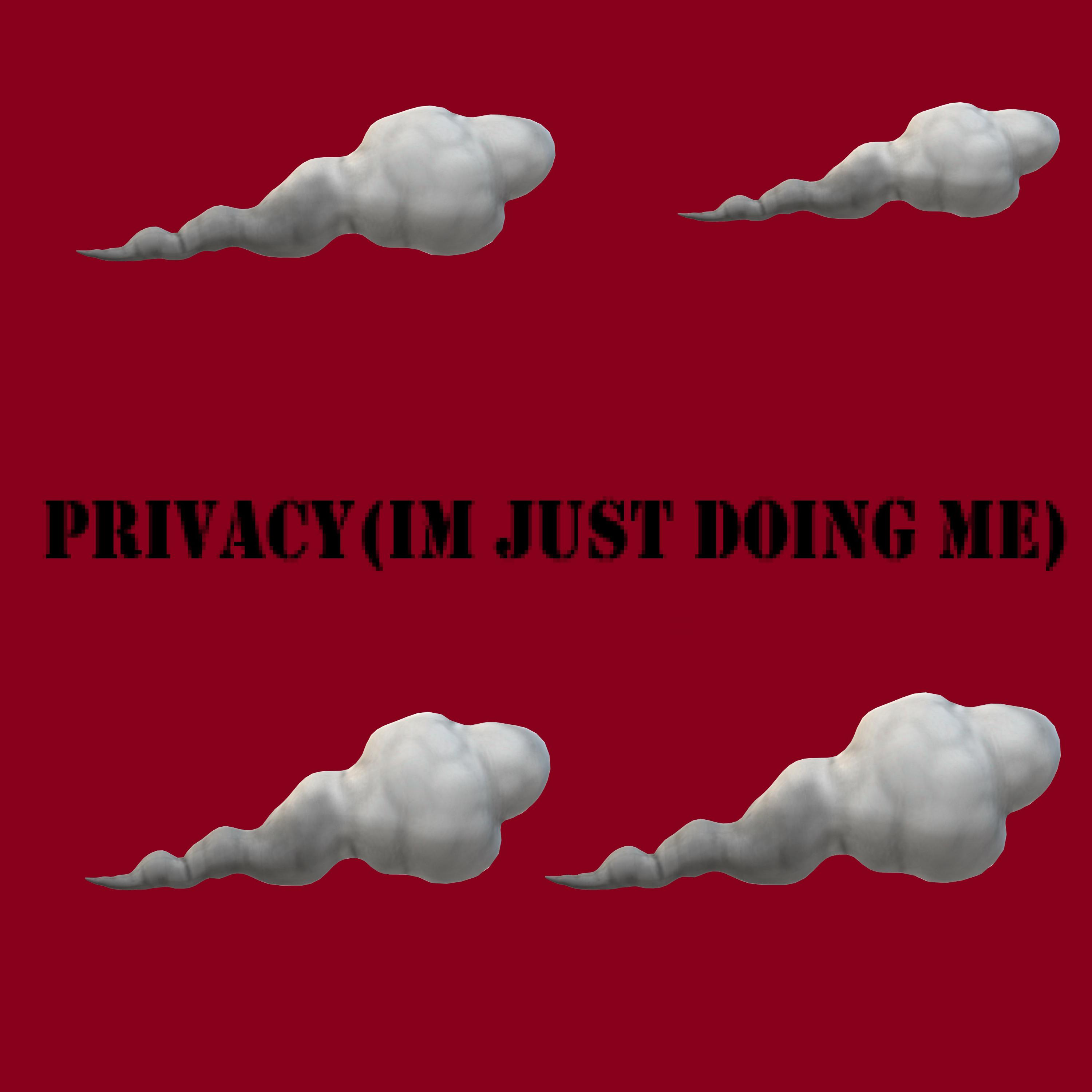 Privacy(Im Just Doing Me) artwork