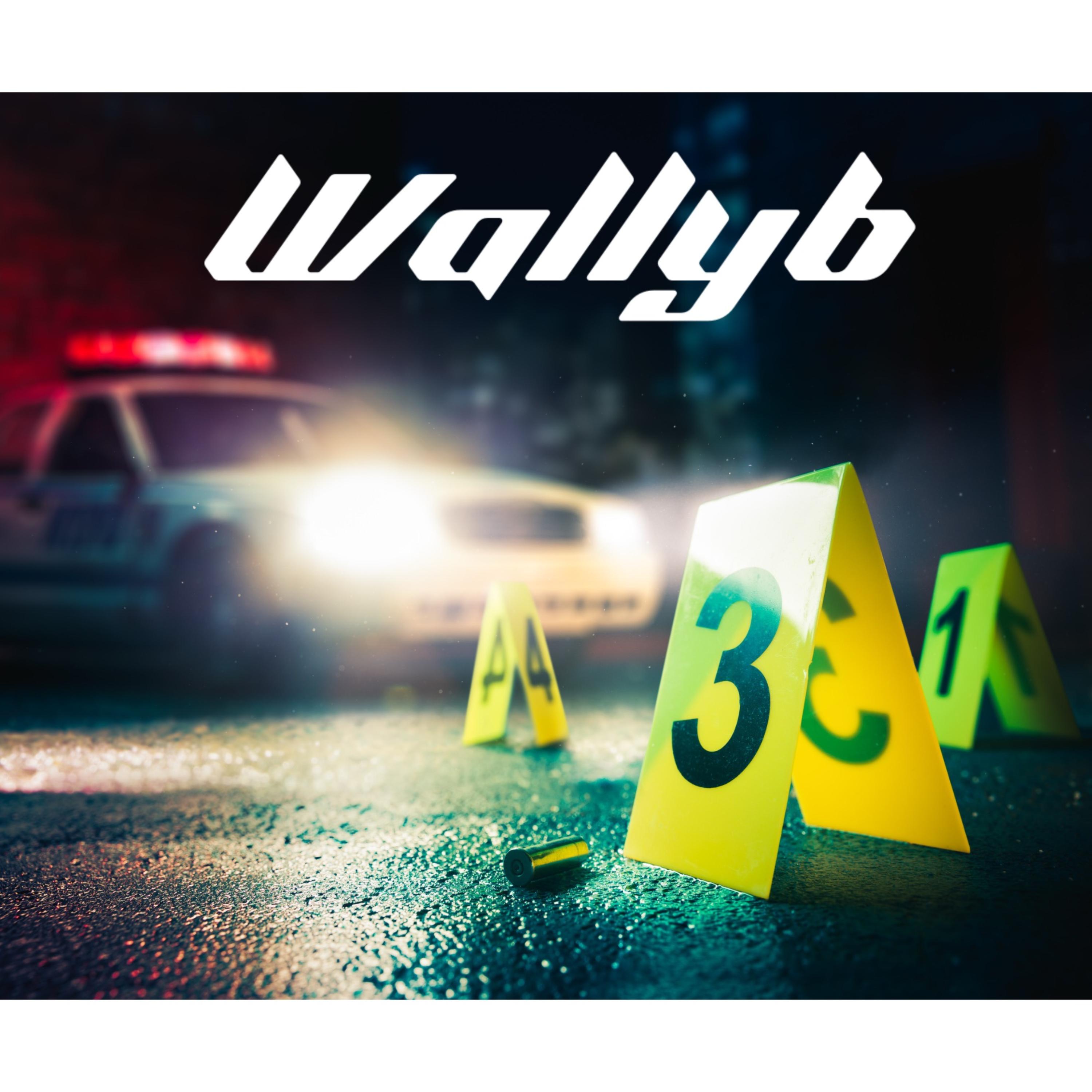 Grave Ledger artwork