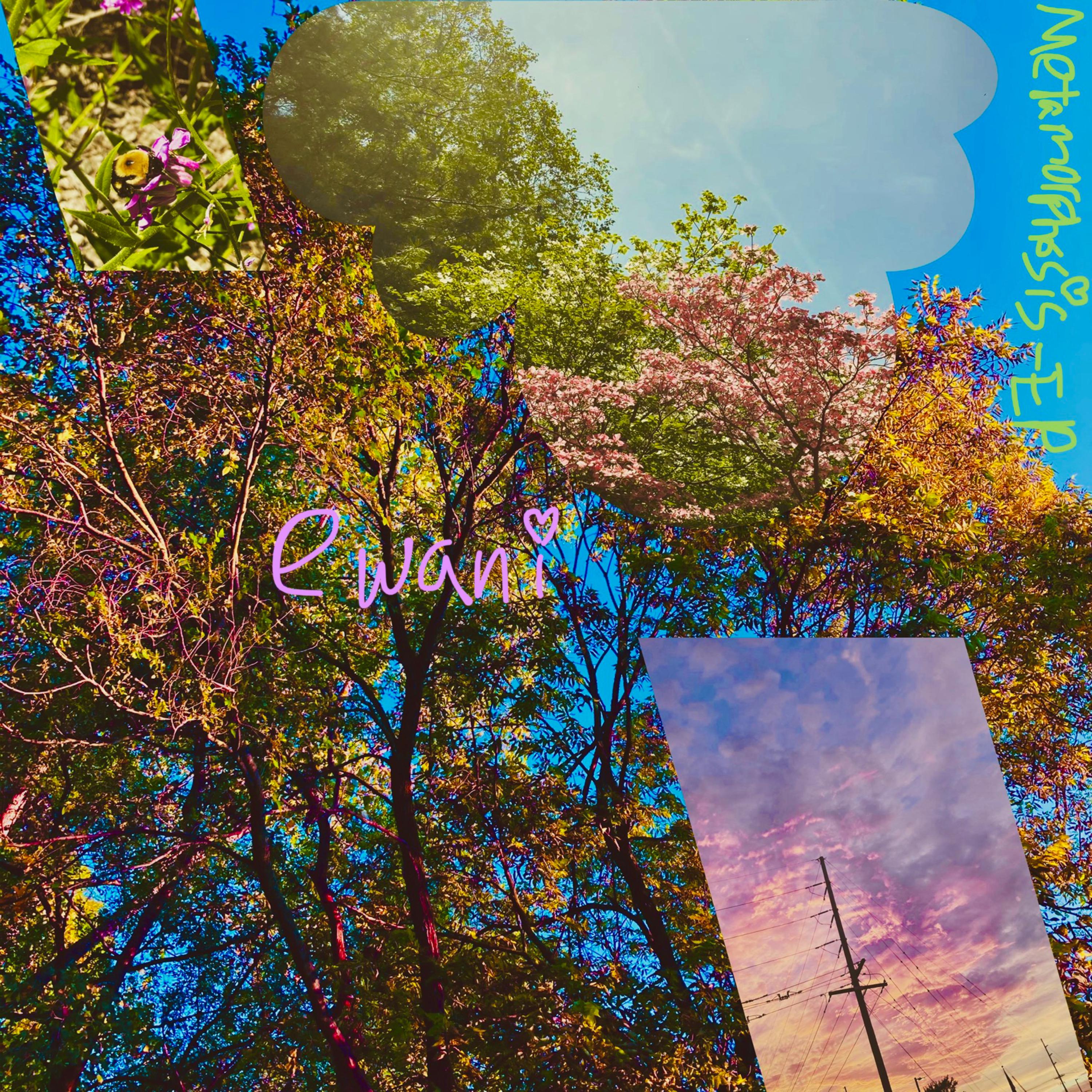 Metamorphosis - EP artwork