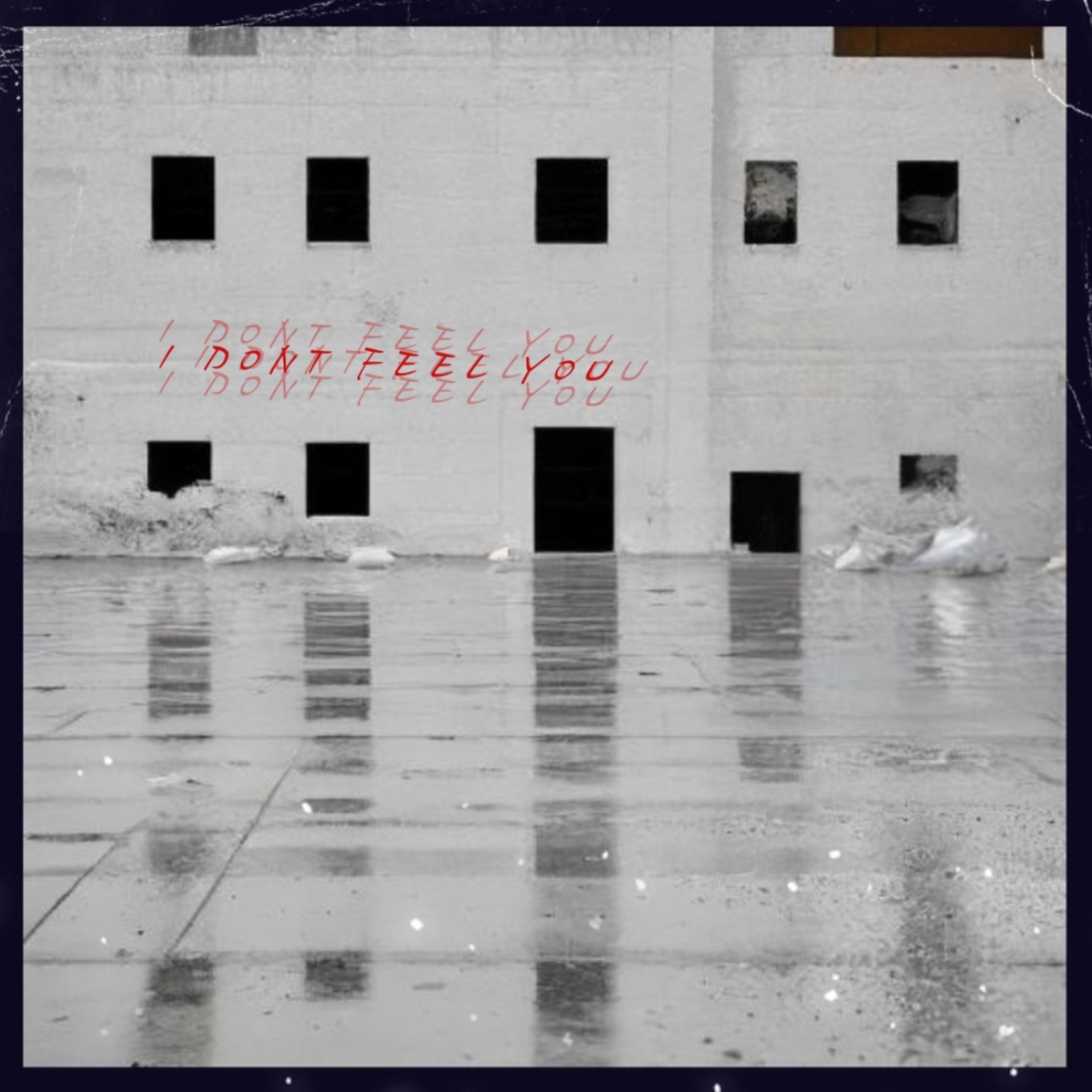 I Don’t Feel You artwork