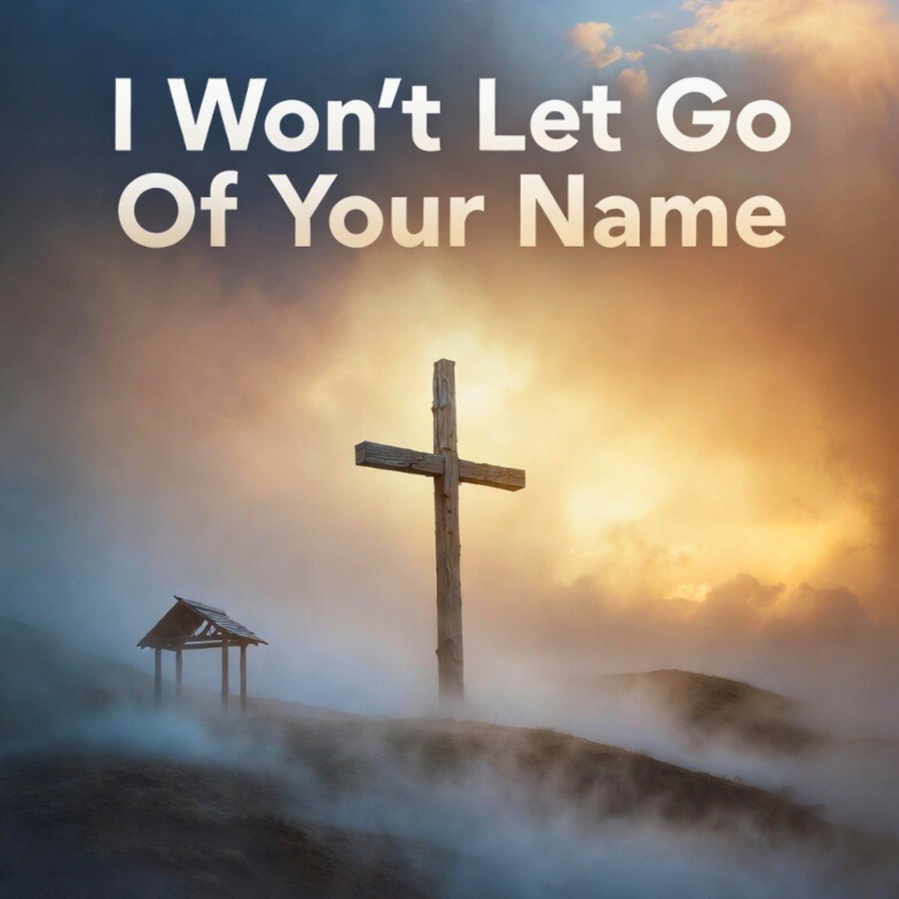 I Won’t Let Go artwork