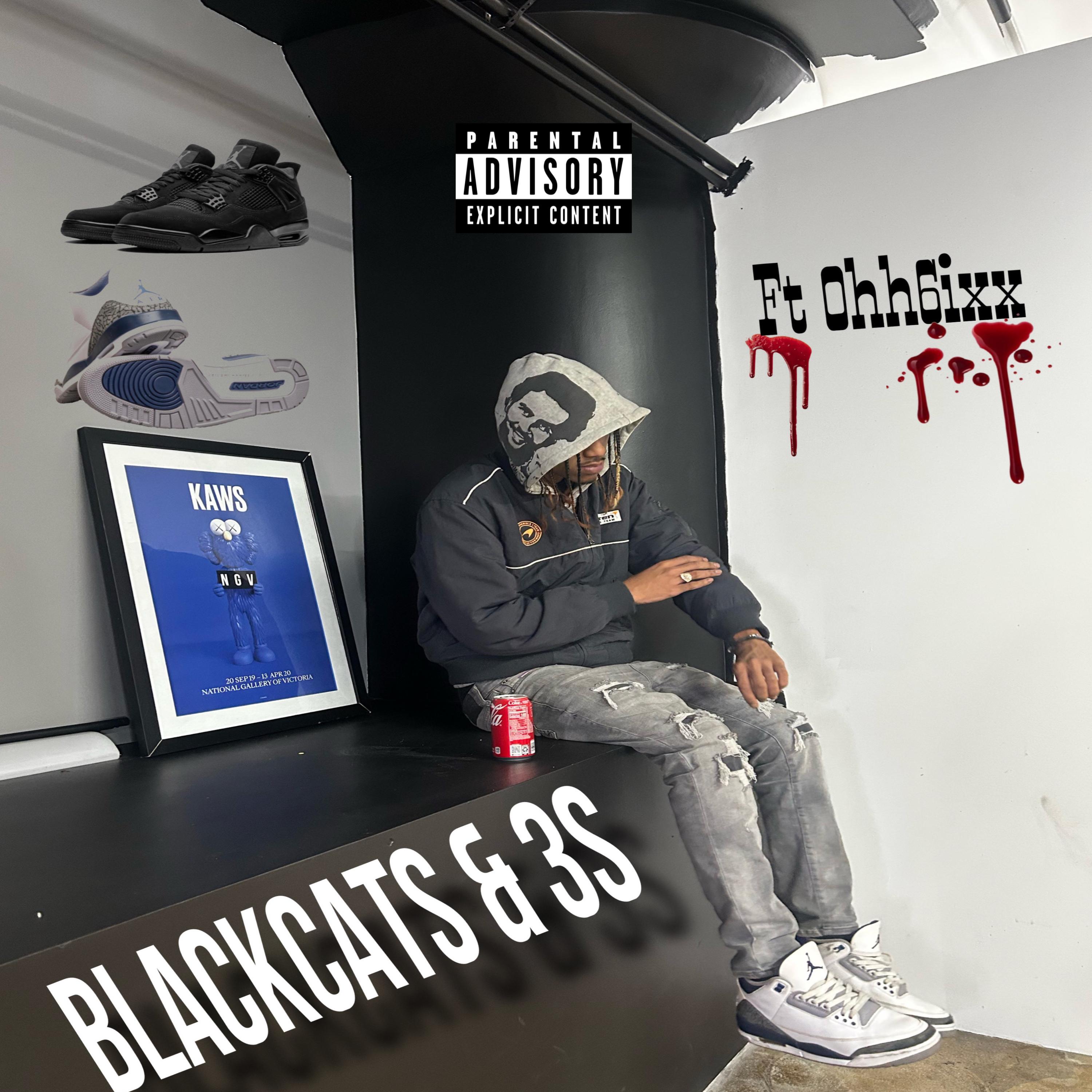 Blackcats & 3s by davxn2virall cover art