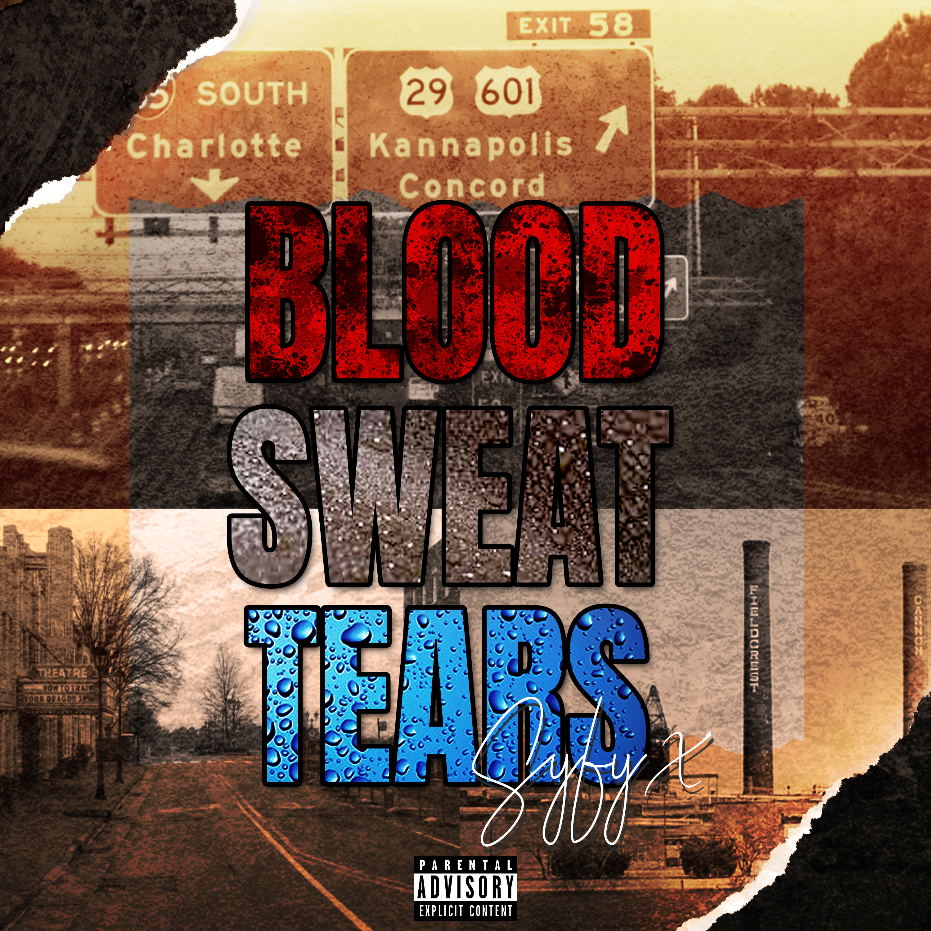 Blood Sweat Tears artwork