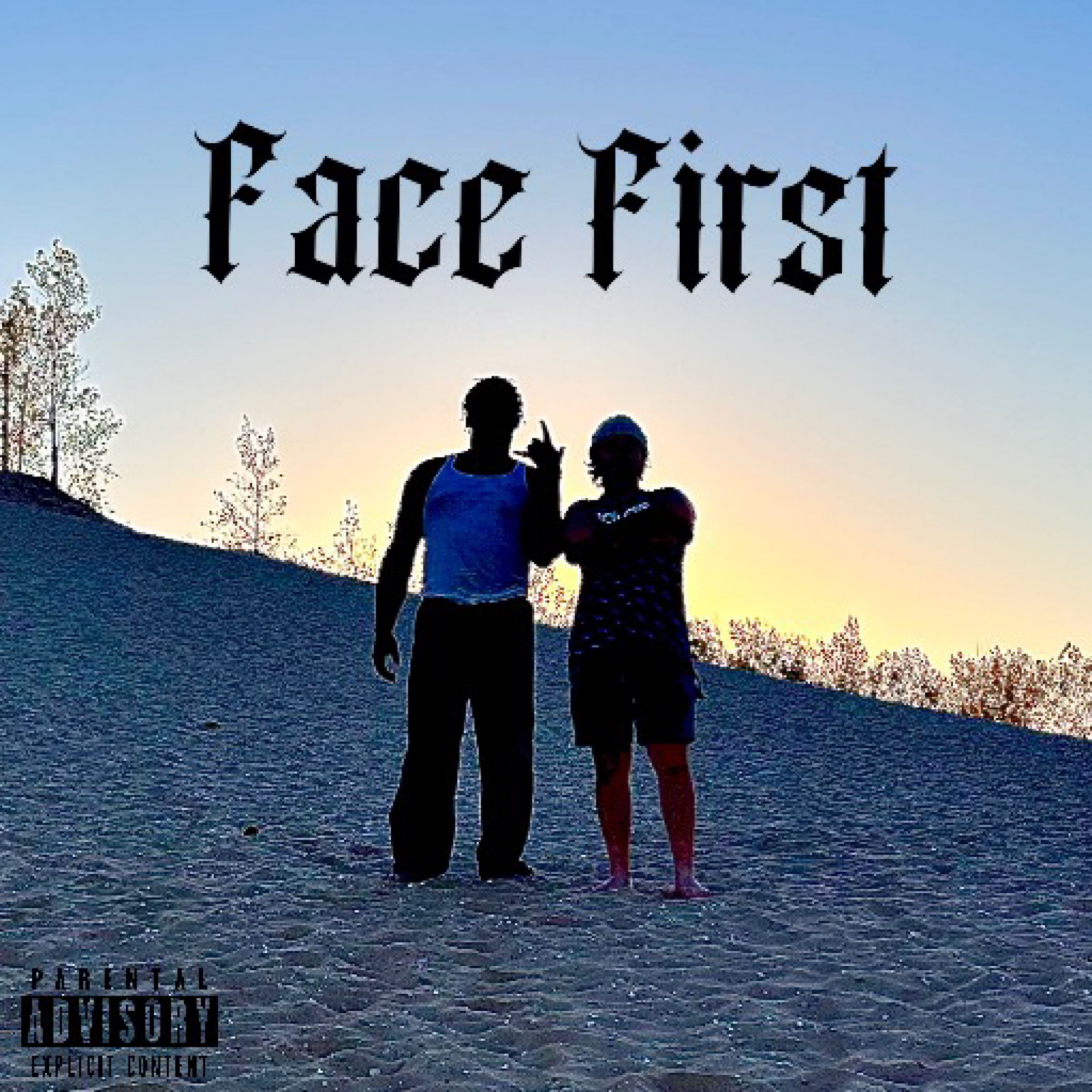 Face First artwork