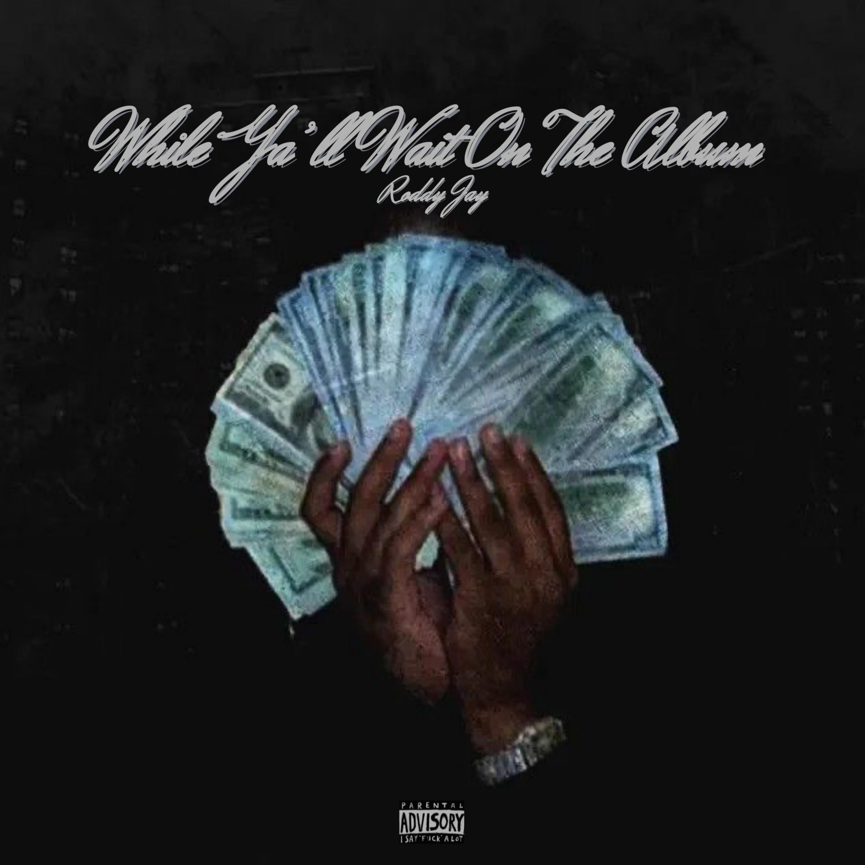 While Ya’ll Wait On The Album artwork